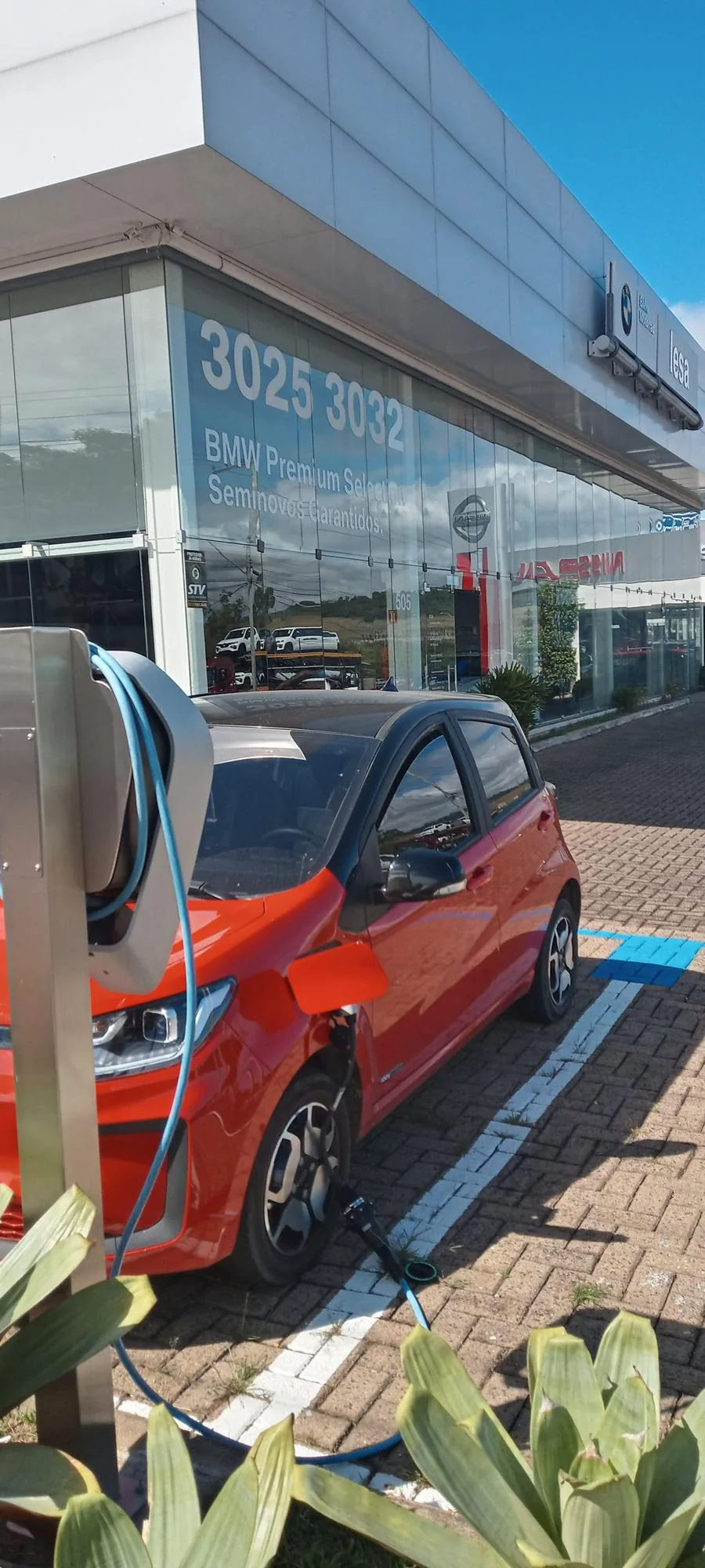 IESA BMW
