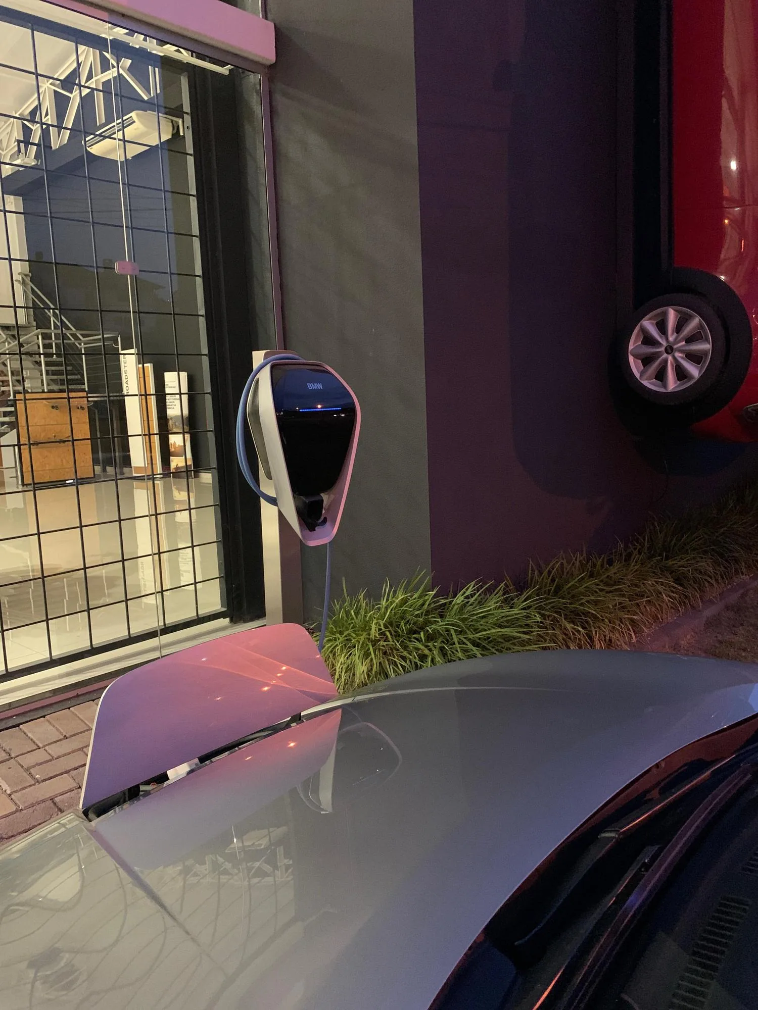 BMW IESA