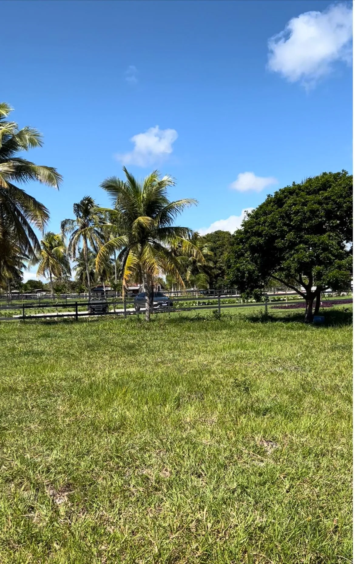 FAZENDA FERREIRA GRANDE