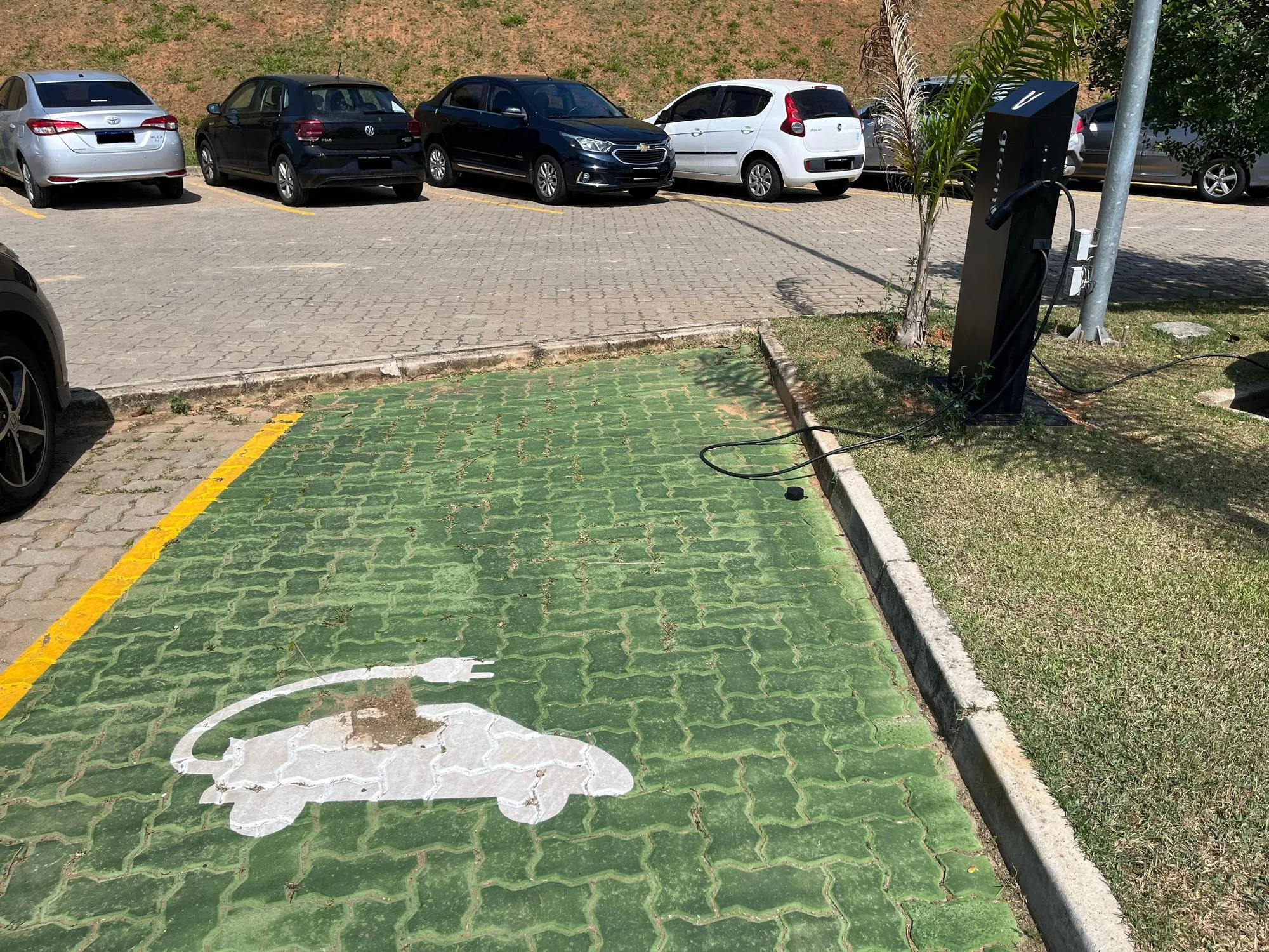 ANIMÁLIA PARK