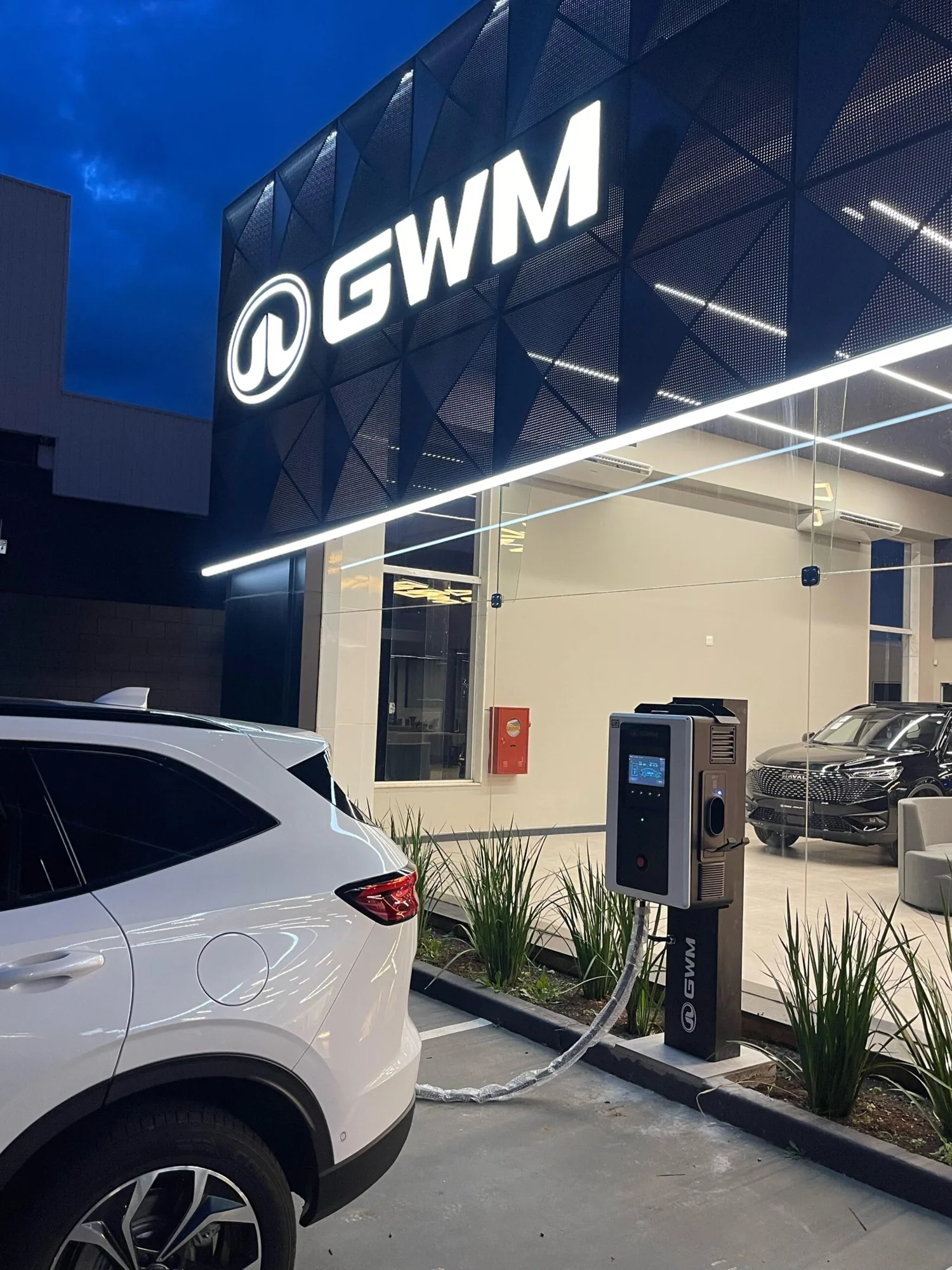 JORLANEV GWM