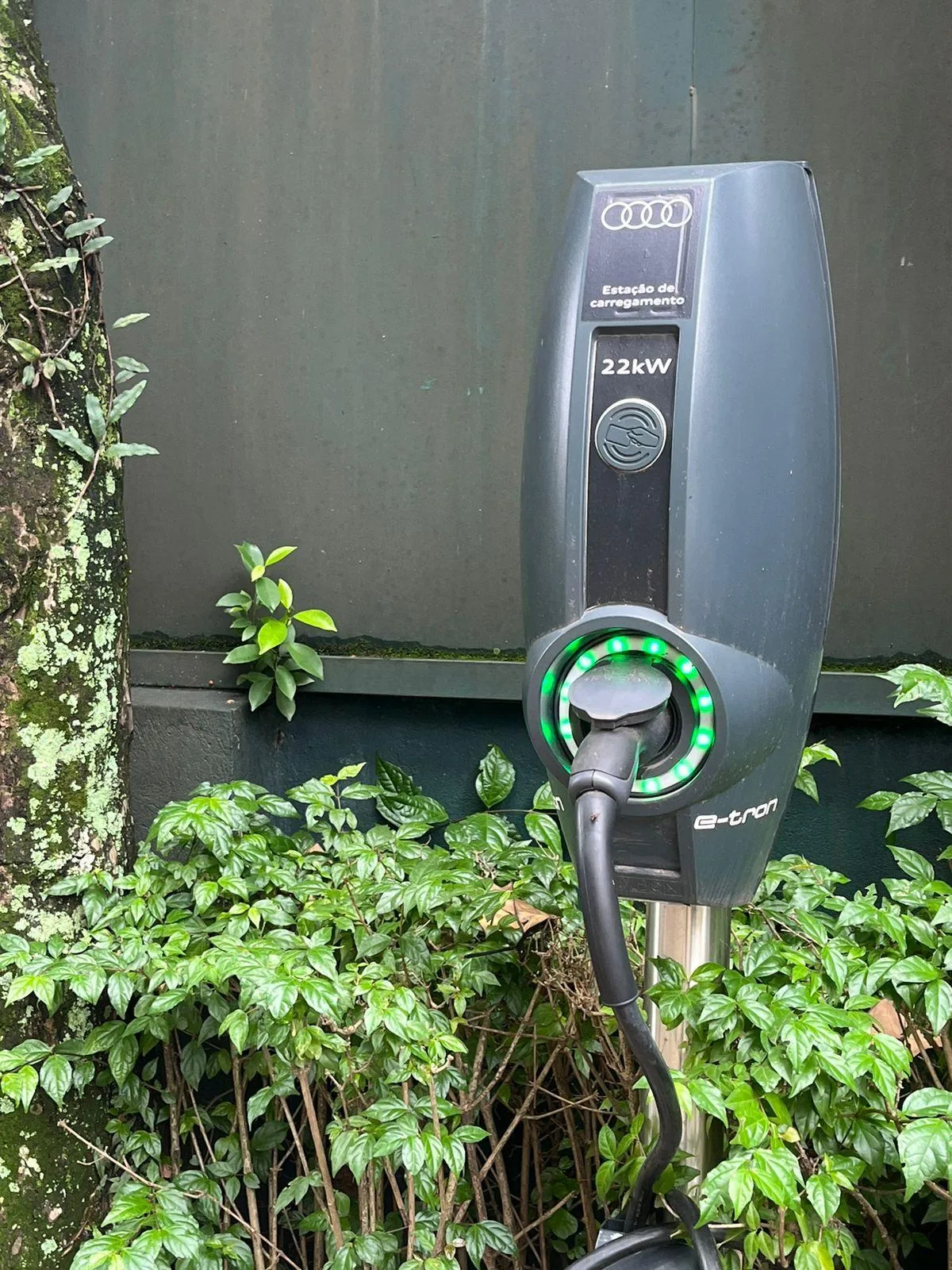 AUDI EVBOX | CASA FLORAH