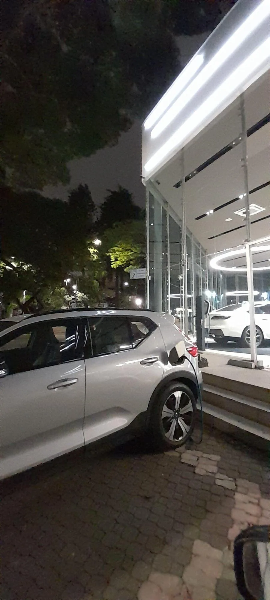 BMW OSTEN PERDIZES (AC)