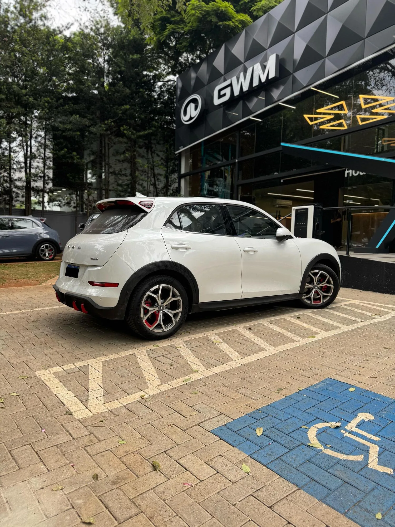 WEG STATION | GWM CARRERA