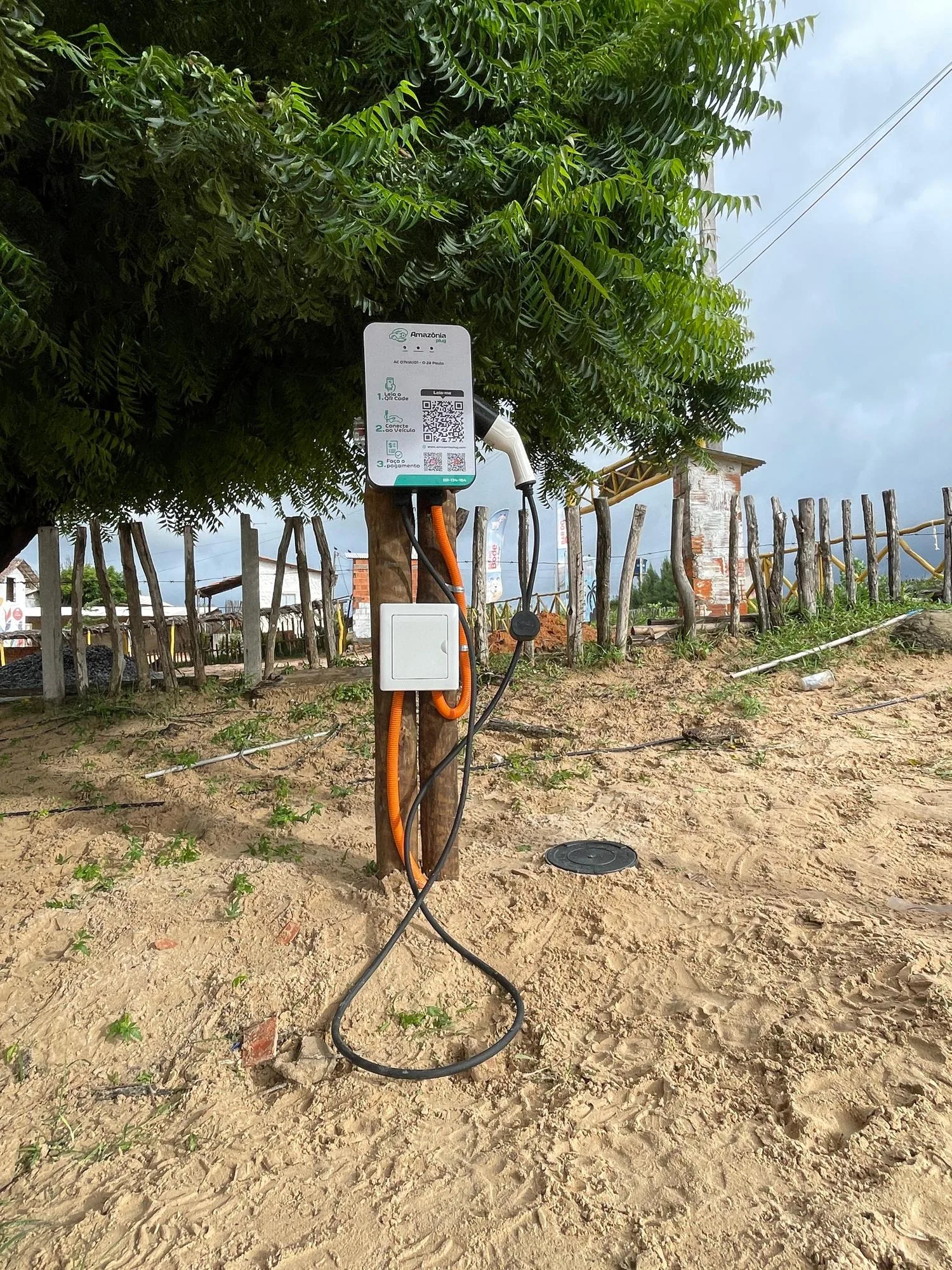 AMAZÔNIA PLUG - O ZÉ PAULO