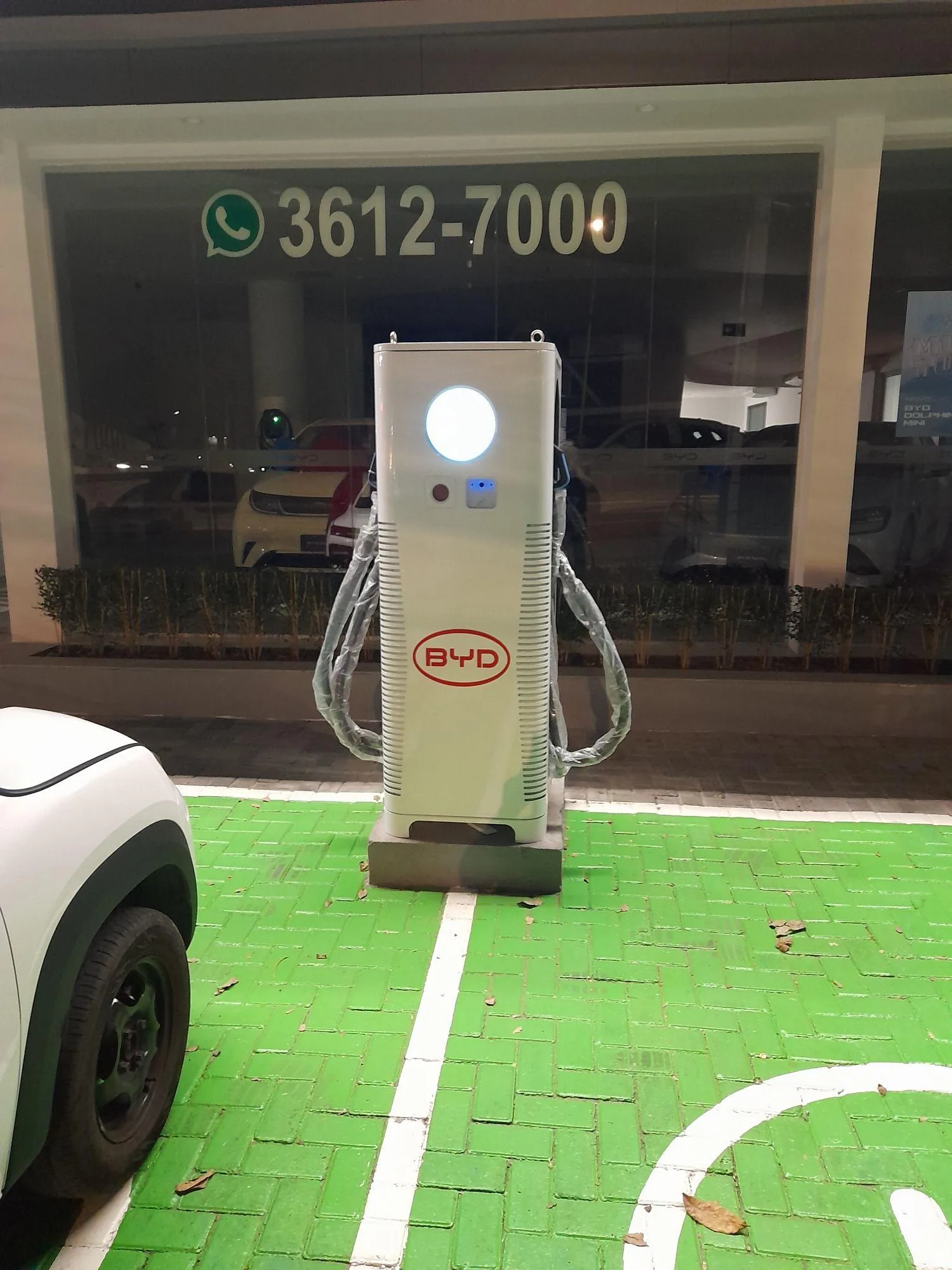 BYD HBW ERMANO MARCHETTI