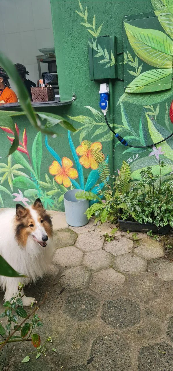 POUSADA PORTAL DO CACAU PETFRIENDLY