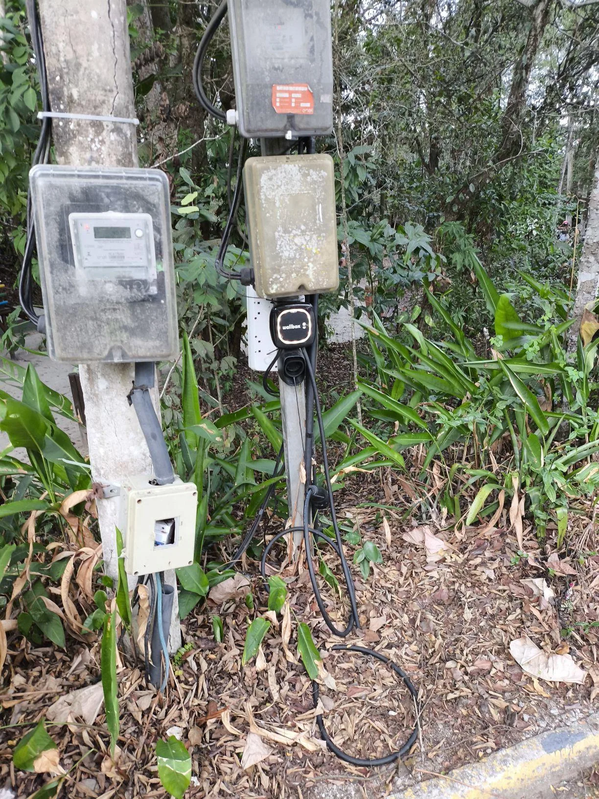PARQUE DA CIDADE DE NITERÓI