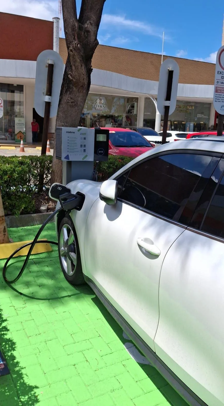 DCC ENERGY - BOSQUE OPEN MALL