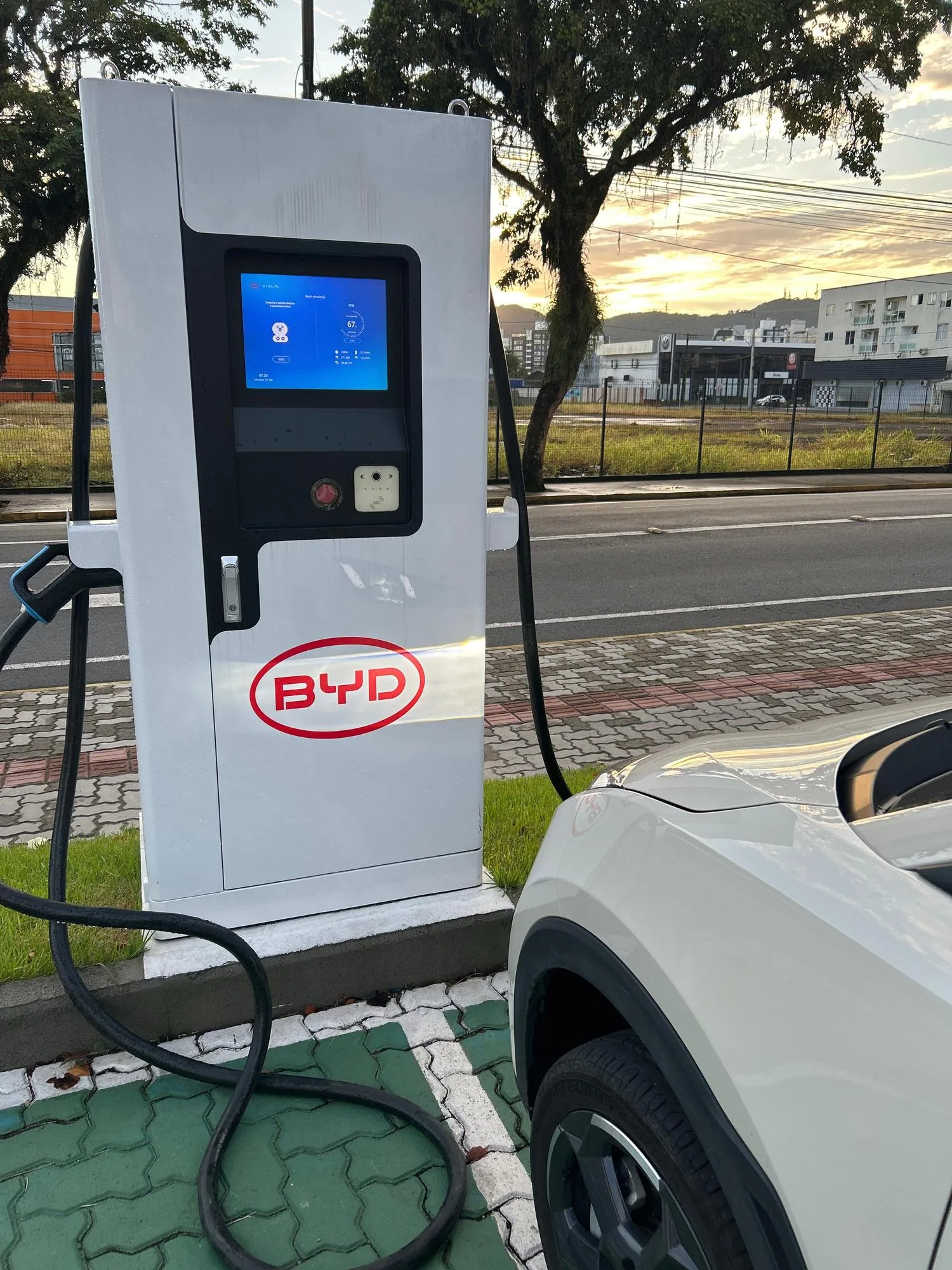 BYD