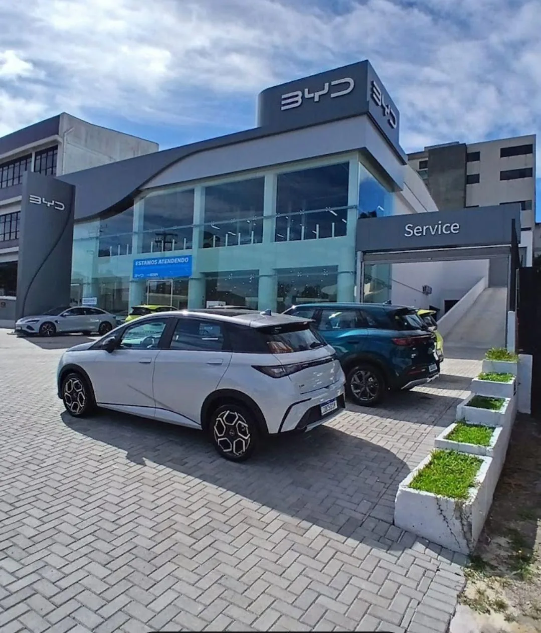 BYD CAXIAS DO SUL