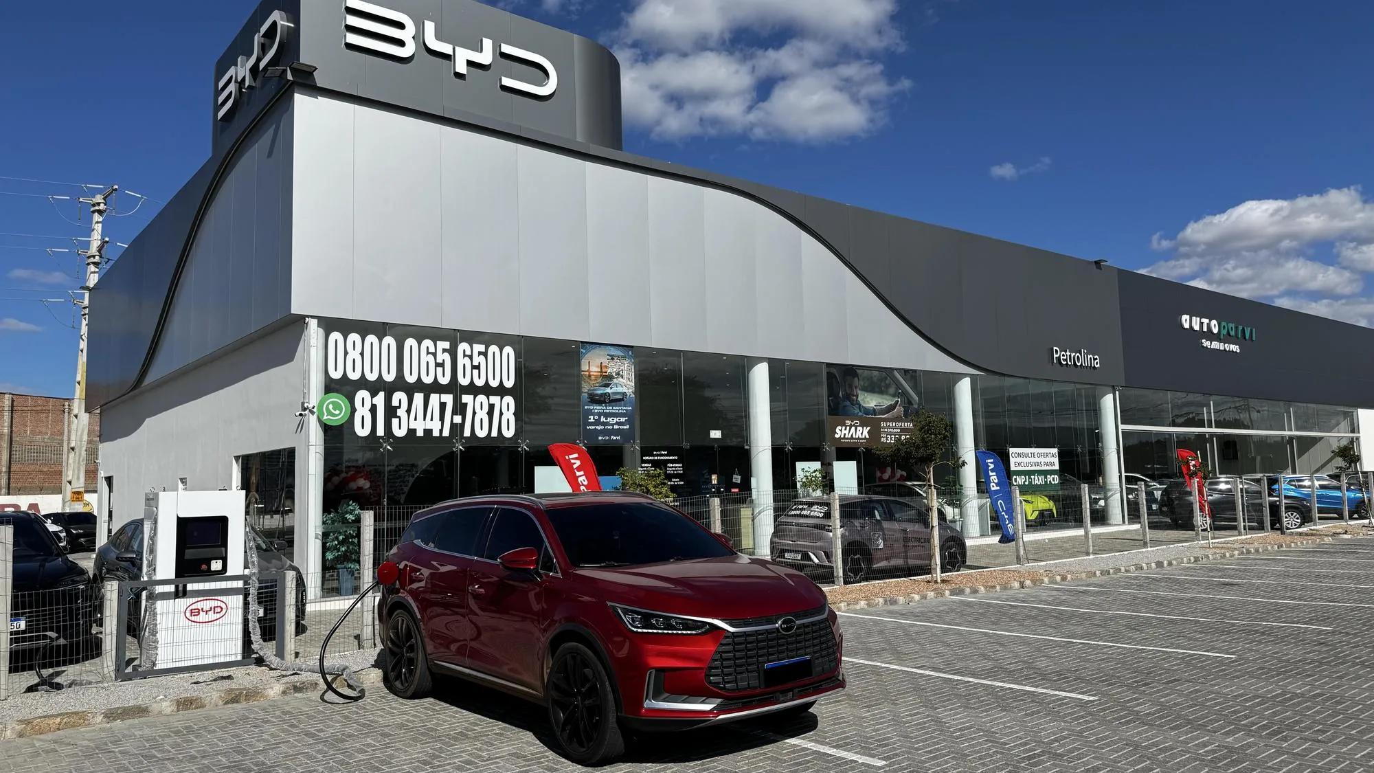 BYD PARVI PETROLINA.