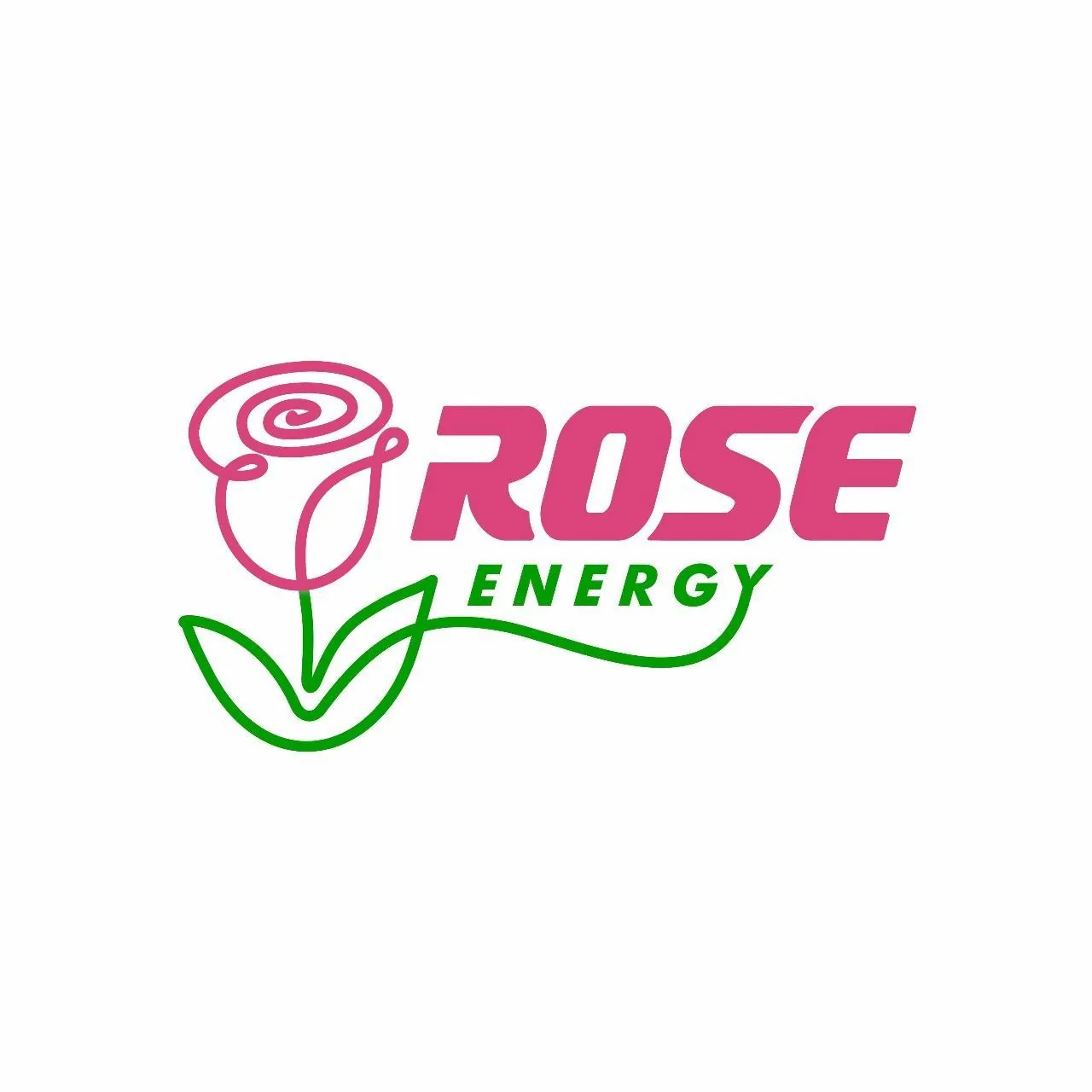 SPOT PIT STOP LOJA ROSE 30 KW CCS2