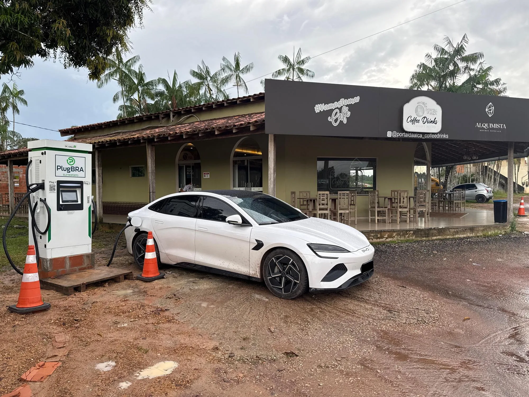 PLUGBRA COFFEE DRINKS 60KW