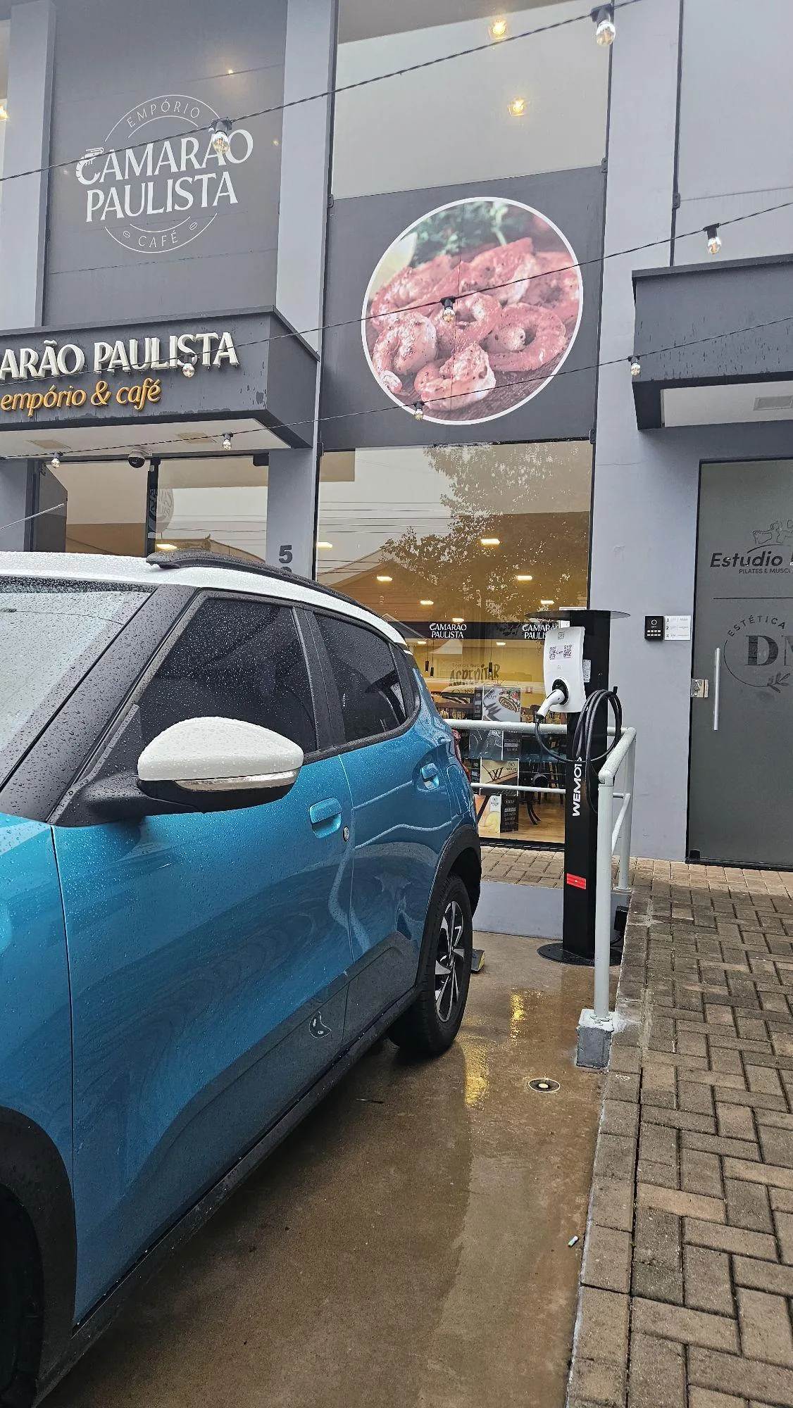 CAMARÃO PAULISTA - SOLBR