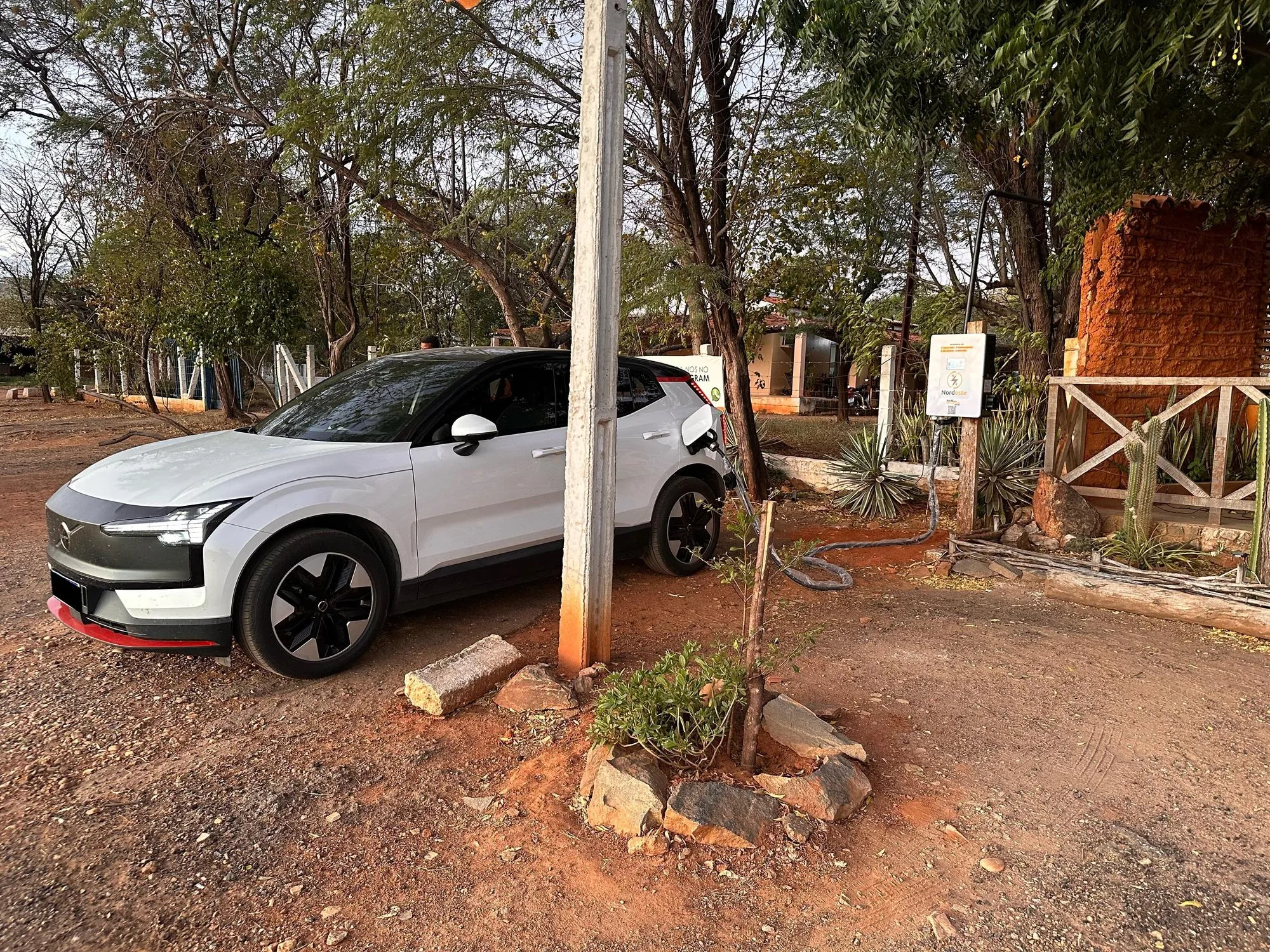 NE - 40KW - GALINHA CAIPIRA