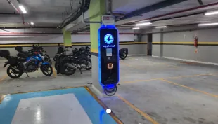 VIVA TRINDADE