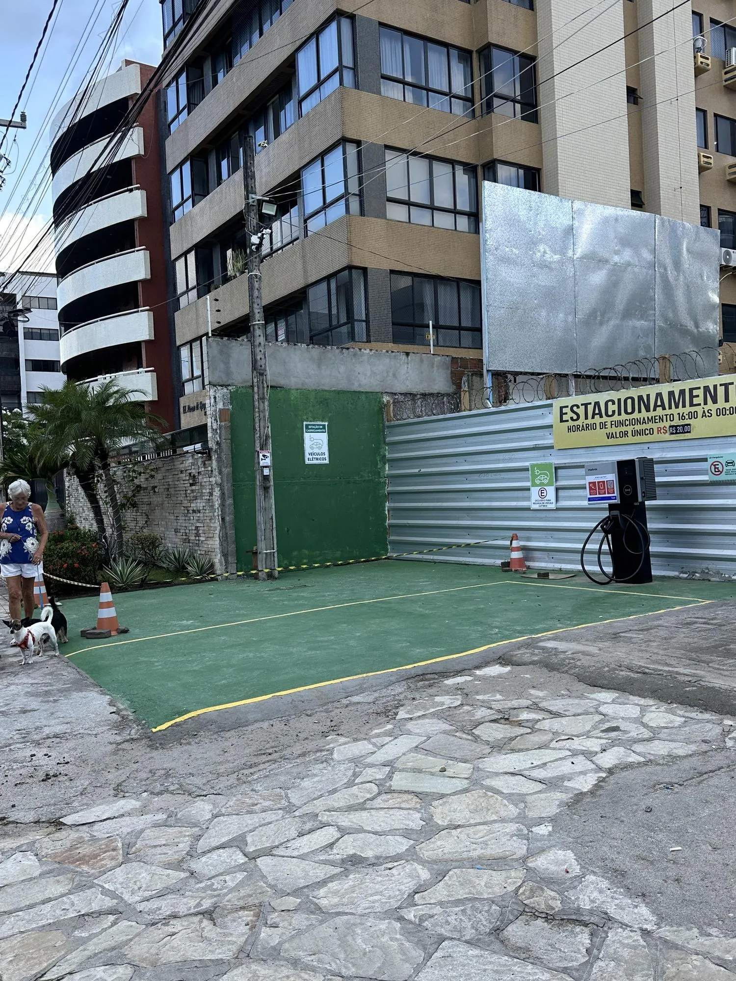 LB CARGASOLAR | BUSTO DE TAMANDARÉ