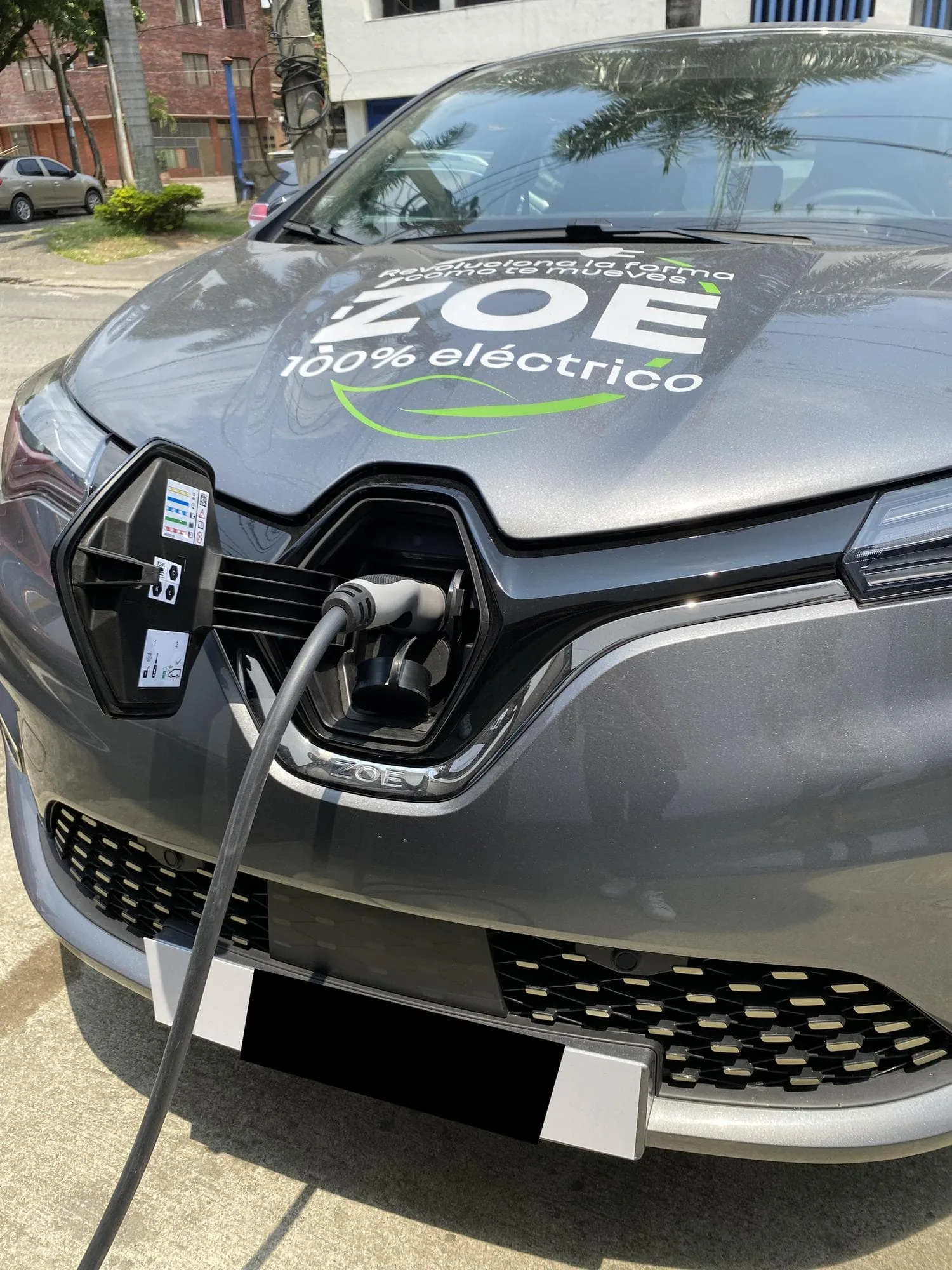 AUTOMOTORA NORTE Y SUR - RENAULT