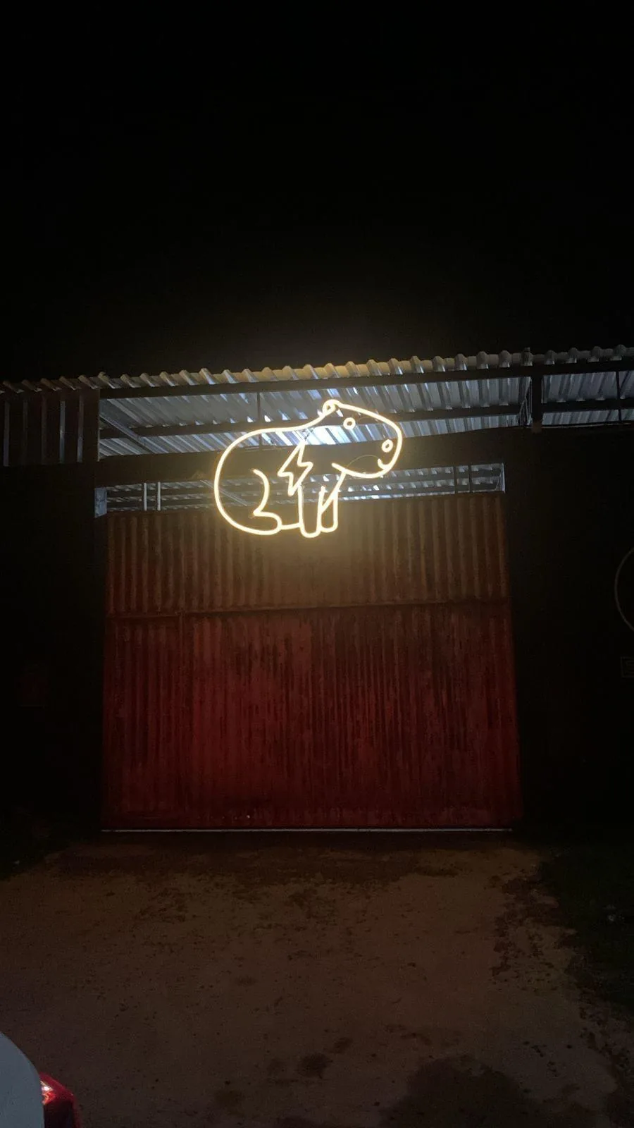 CAPIVARA ELETROPOSTO