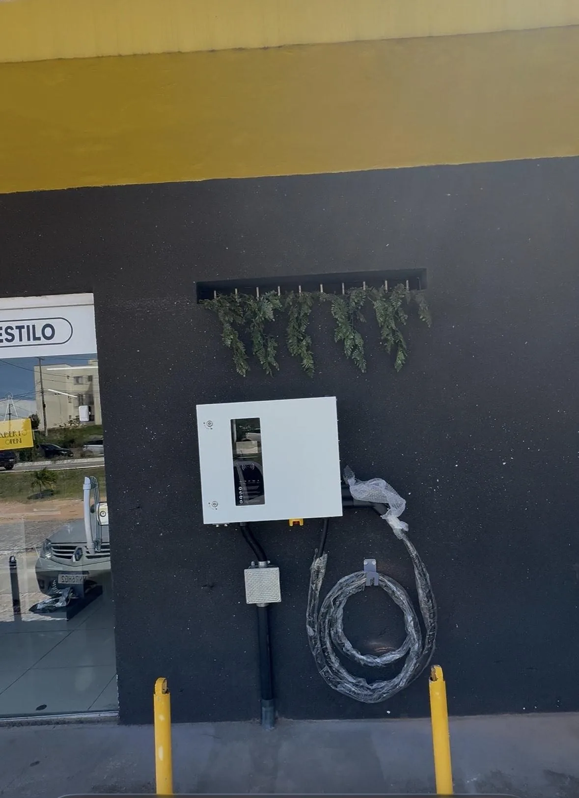 REI DOS IMPORTADOS
