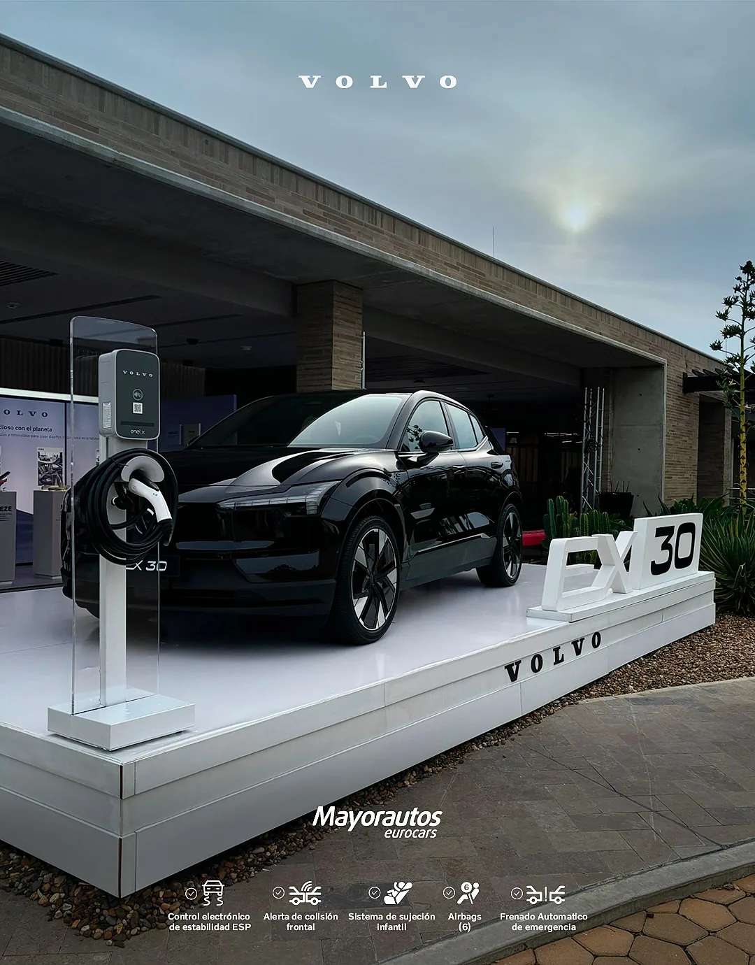 Mayorautos