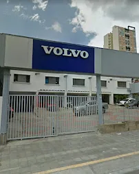 Mayorautos