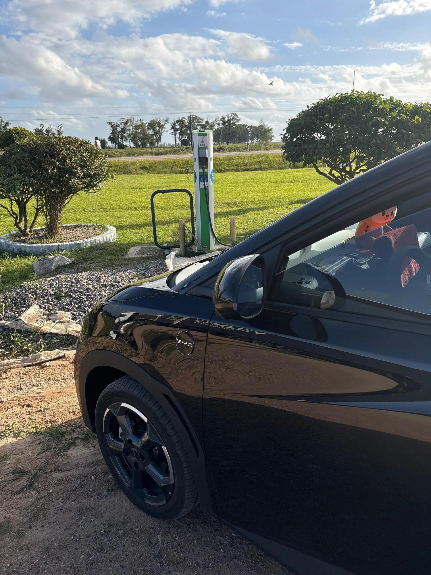 ANCAP RIO BRANCO SOLO TYPE 2 LENTO