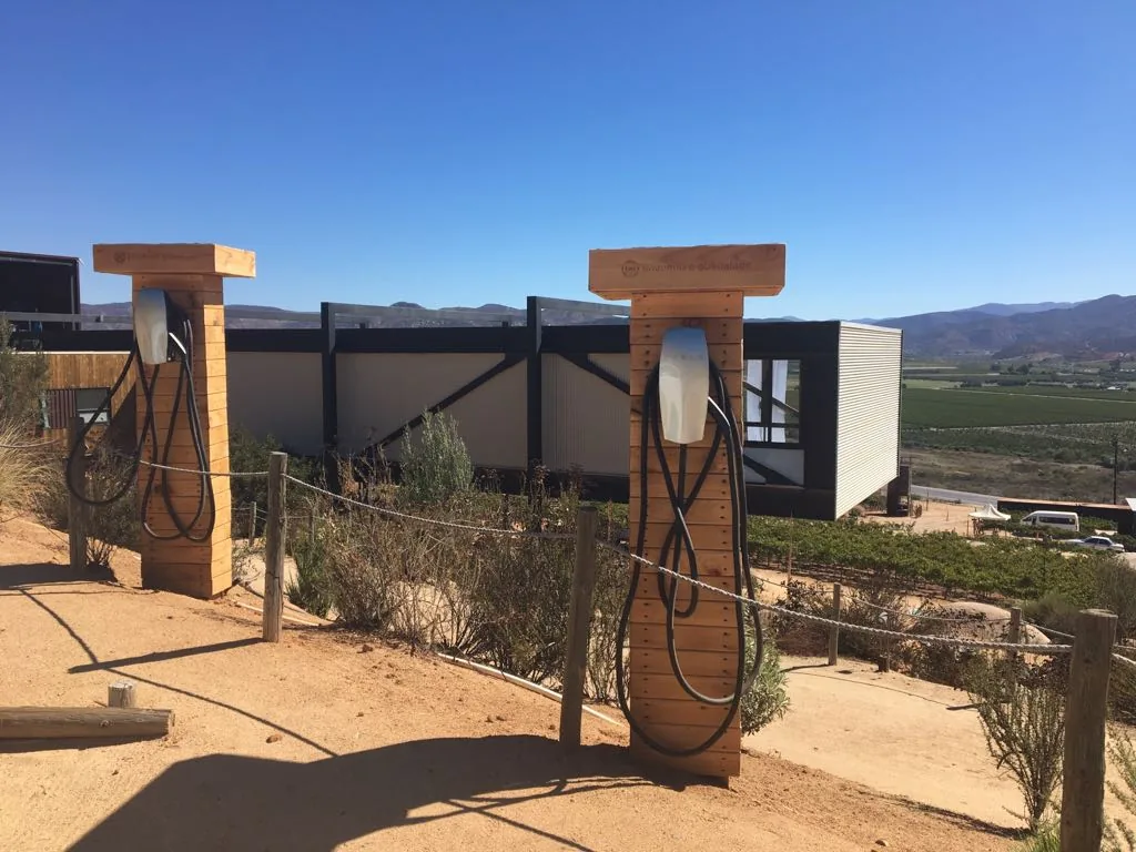 ENCUENTRO GUADALUPE