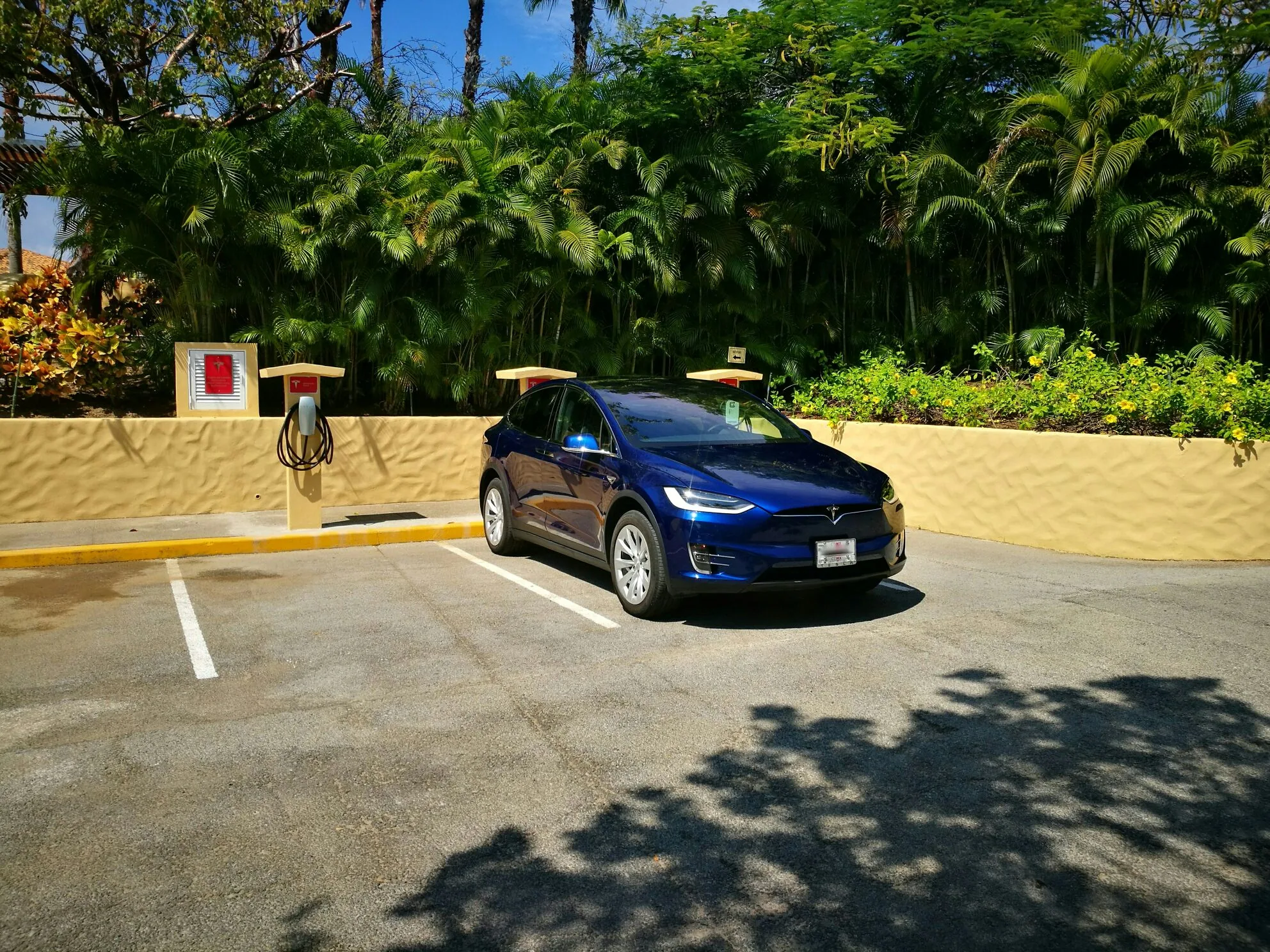 ST. REGIS PUNTA MITA