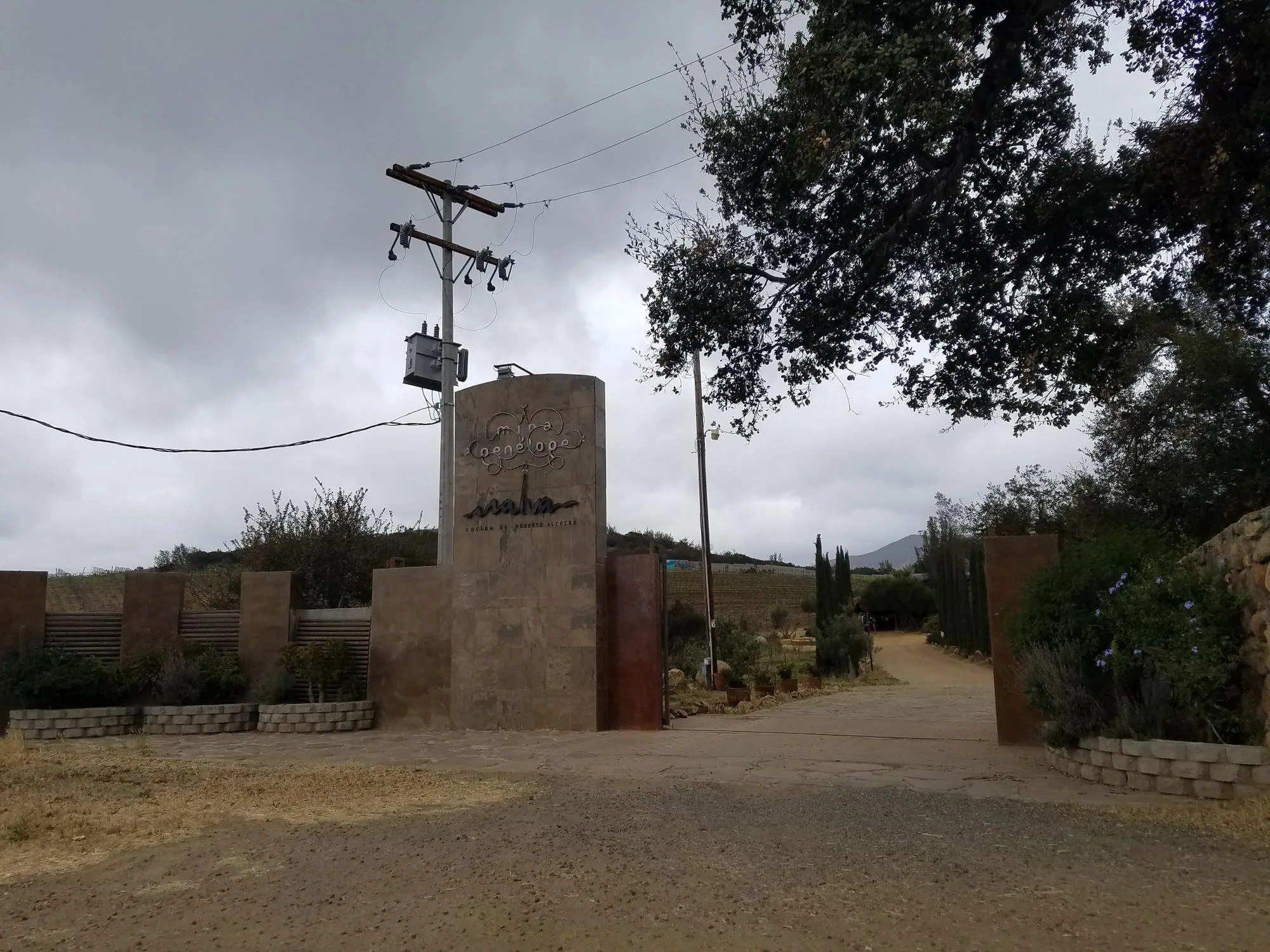 MALVA RESTAURANTE
