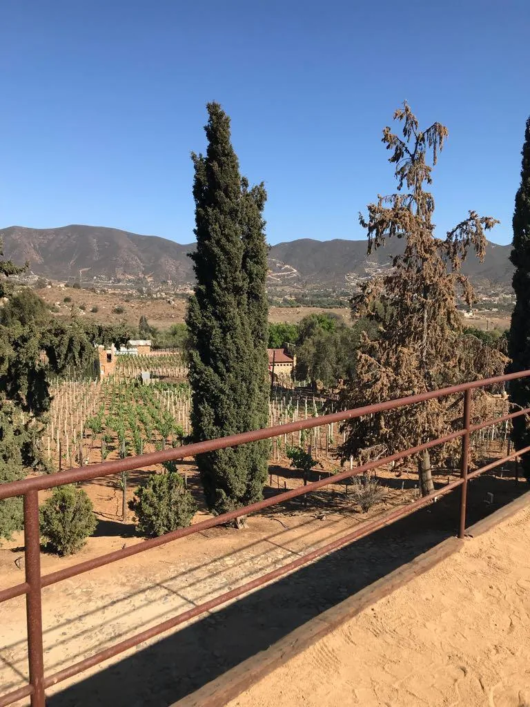 CASA DE PIEDRA VINICOLA