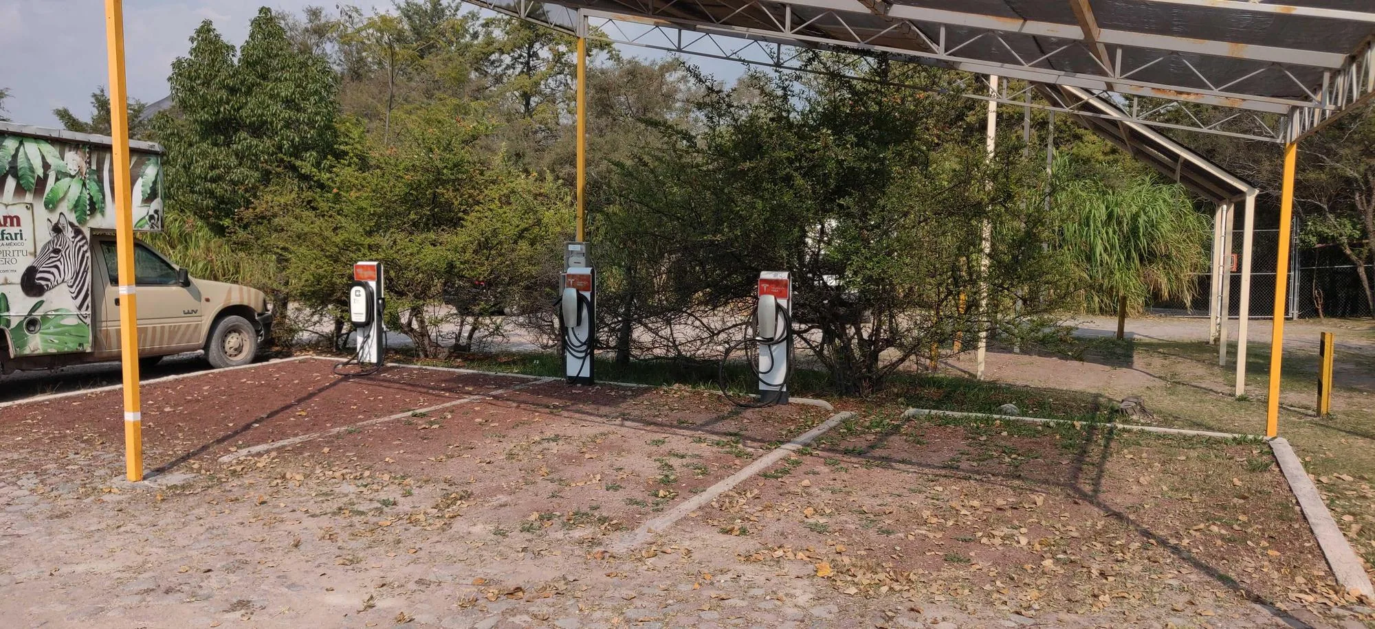 AFRICAM SAFARI
