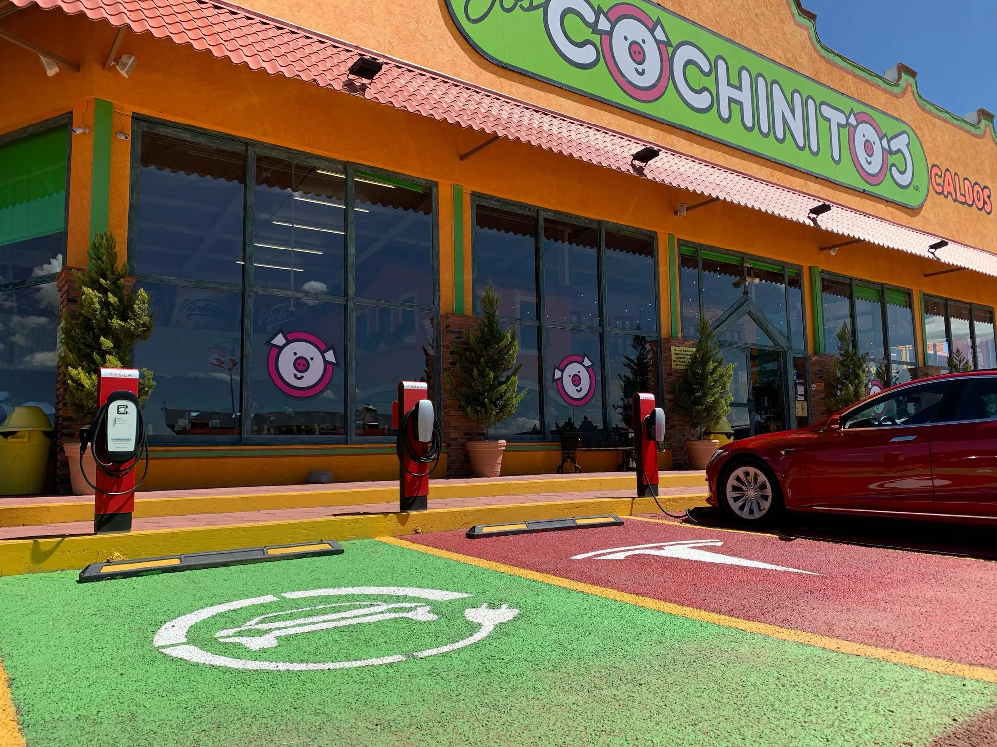 LOS COCHINITOS PACHUCA