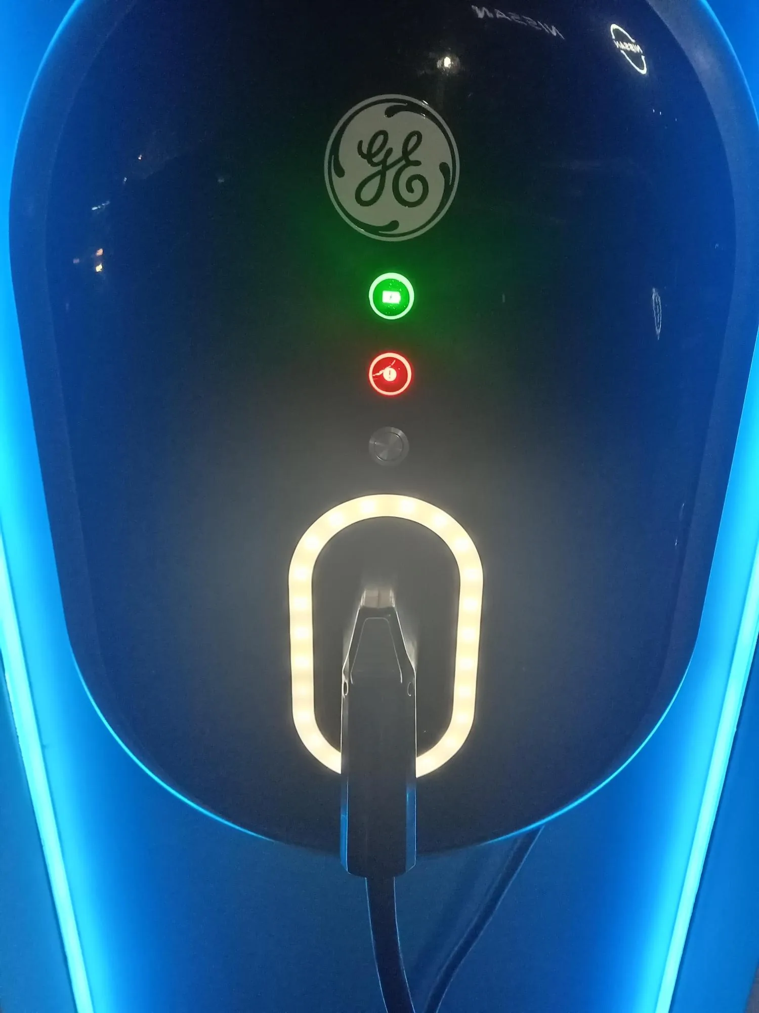 NISSAN VEGUSA