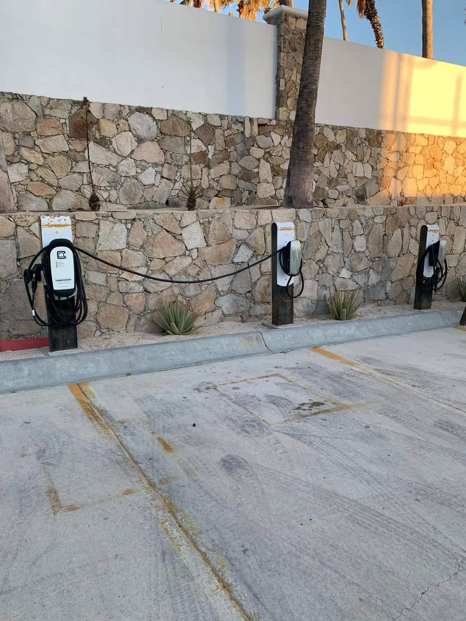 HILTON LOS CABOS BEACH & GOLF RESORT (2)