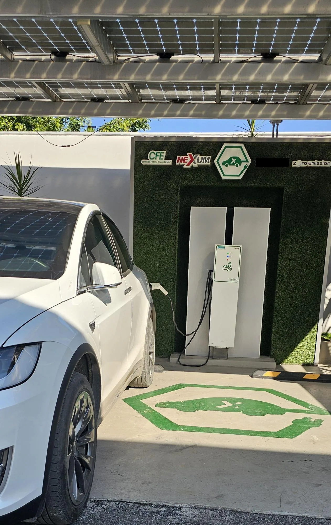 GASOLINERA Y ELECTROLINERA NEXUM