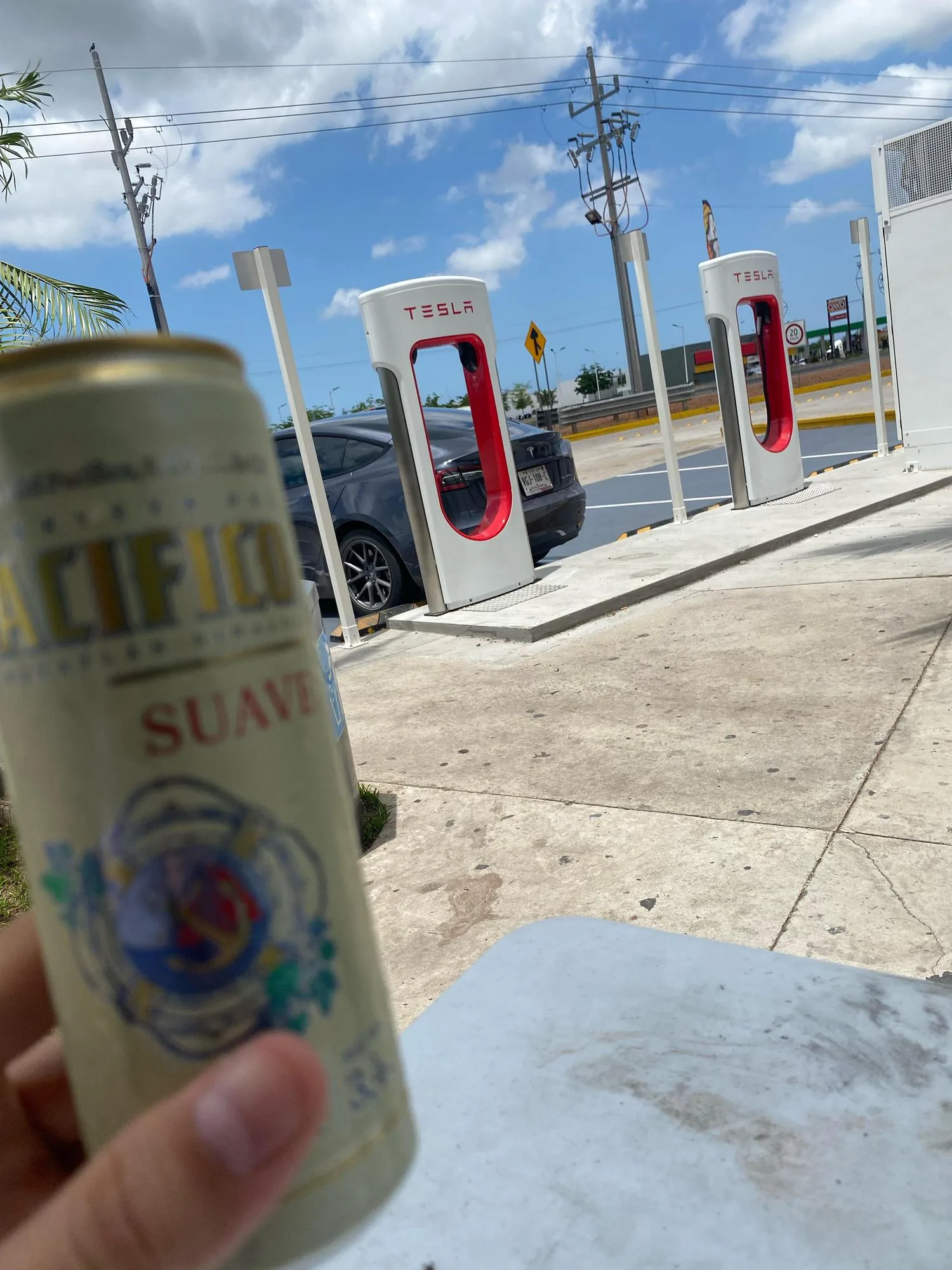 LAS SALVIAS