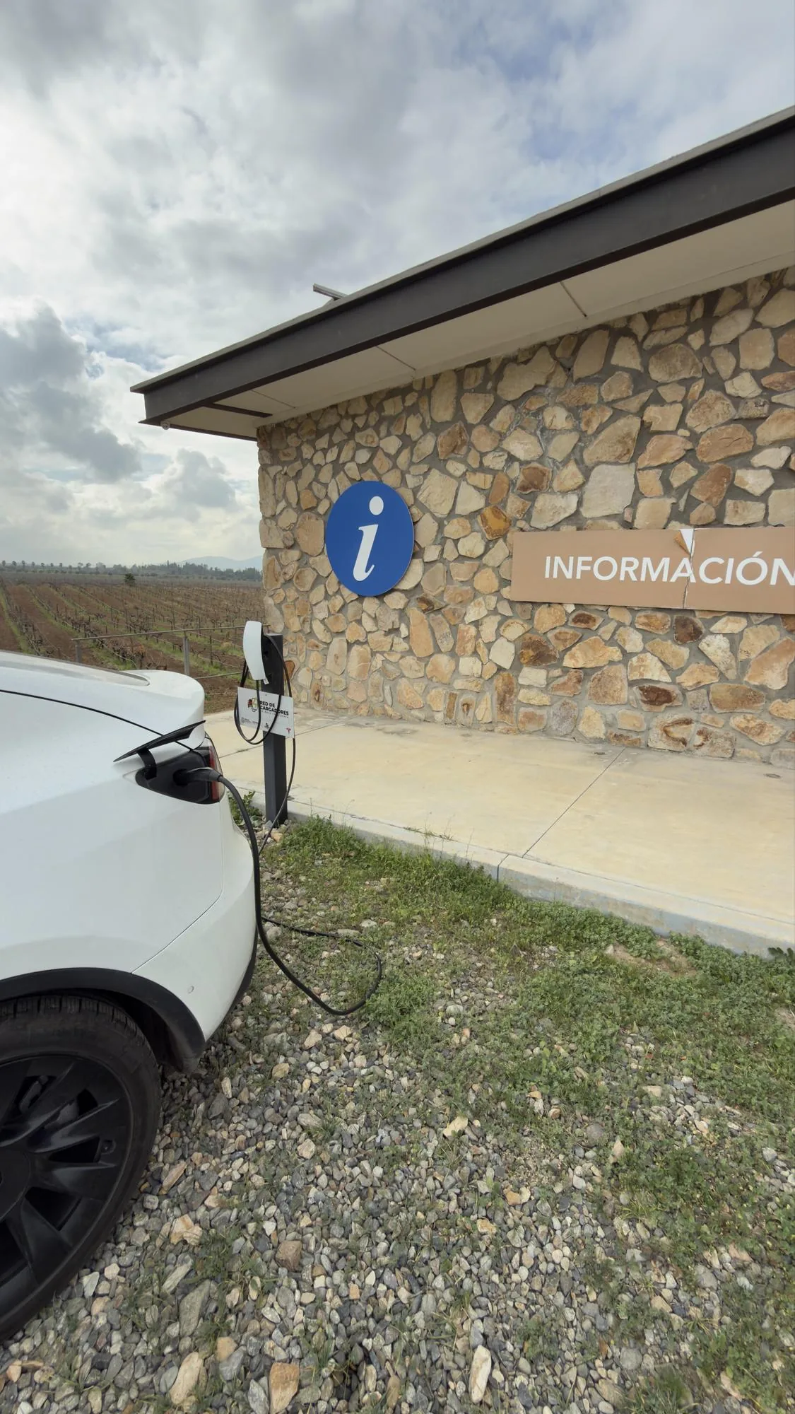 EL MUSEO DEL VINO