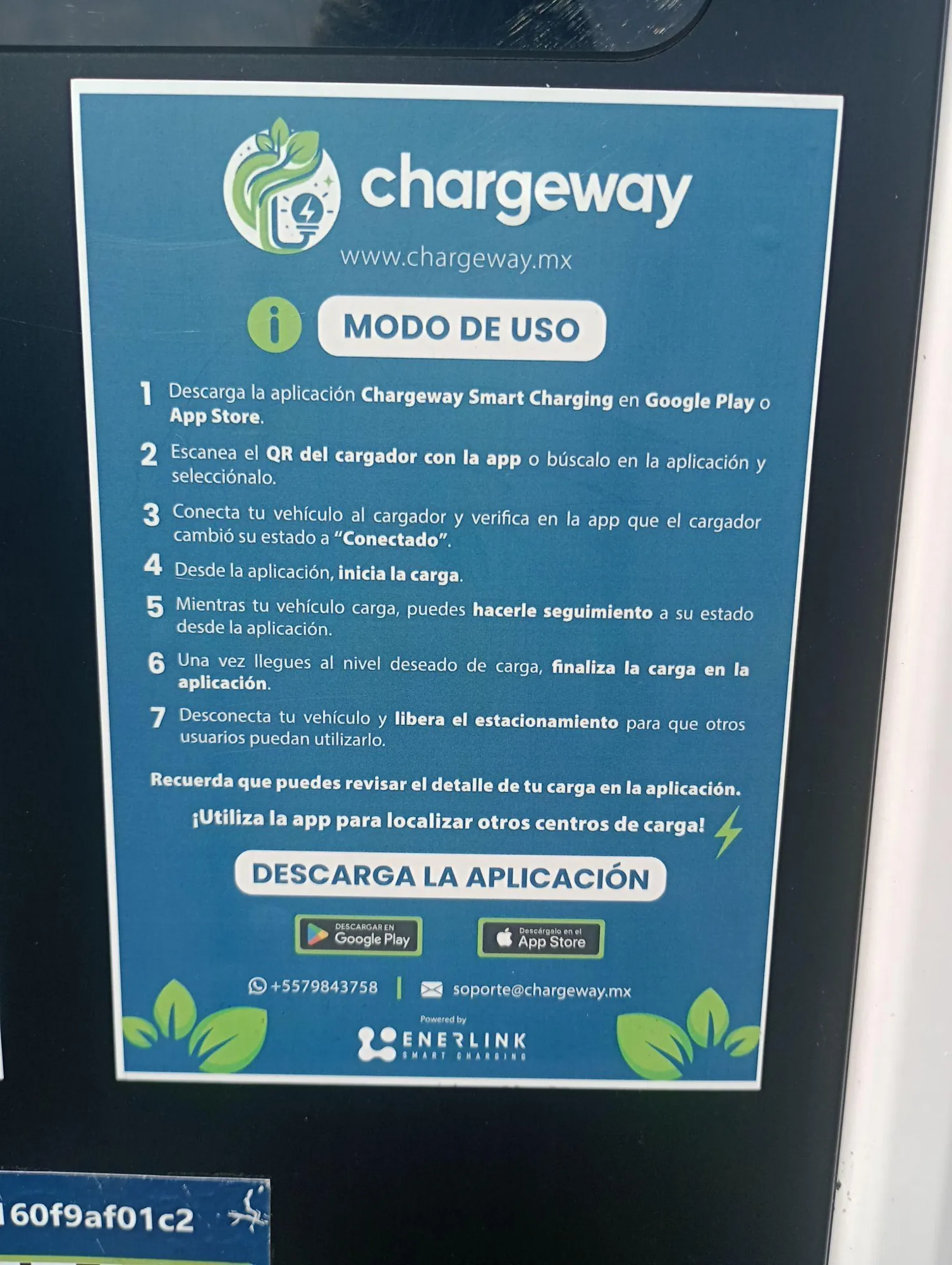 BODEGA AURRERA TEMIXCO 1.21 GIGAWATTS