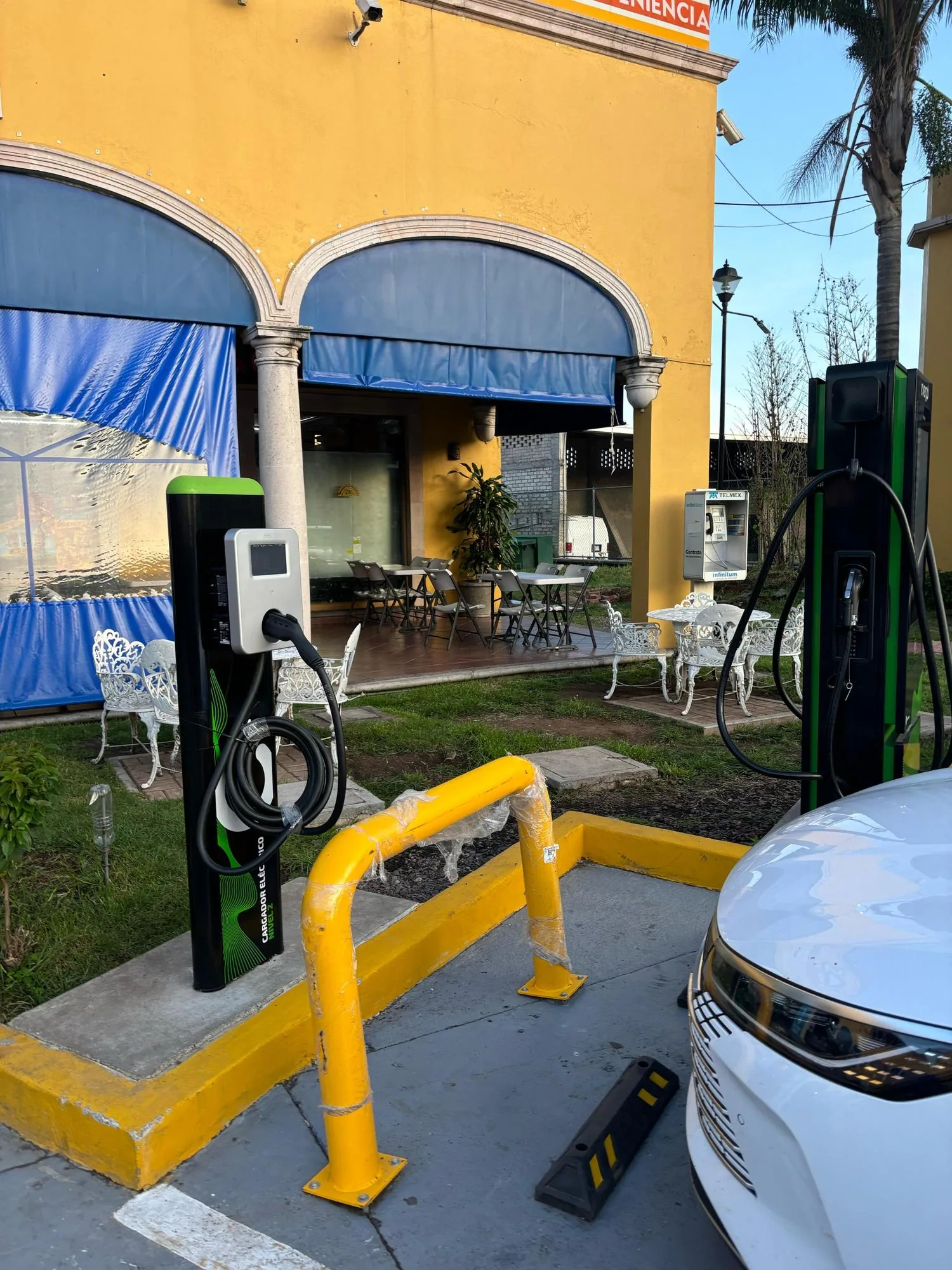 GASOLINERA LOS TULIPANES