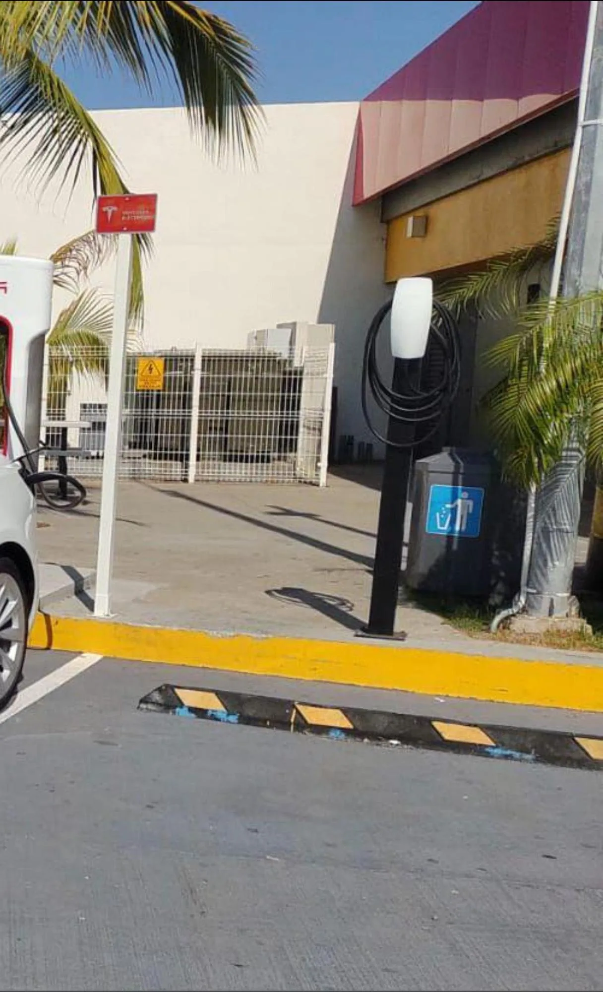 LAS SALVIAS