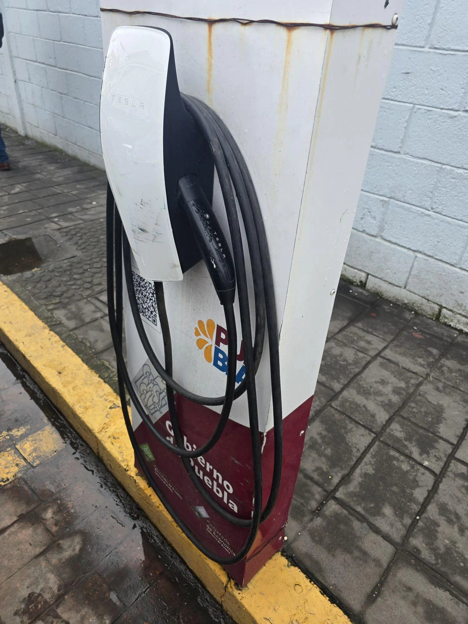 TESLA DESTINATION CHARGER - LEONA VICARIO (TELMEX)