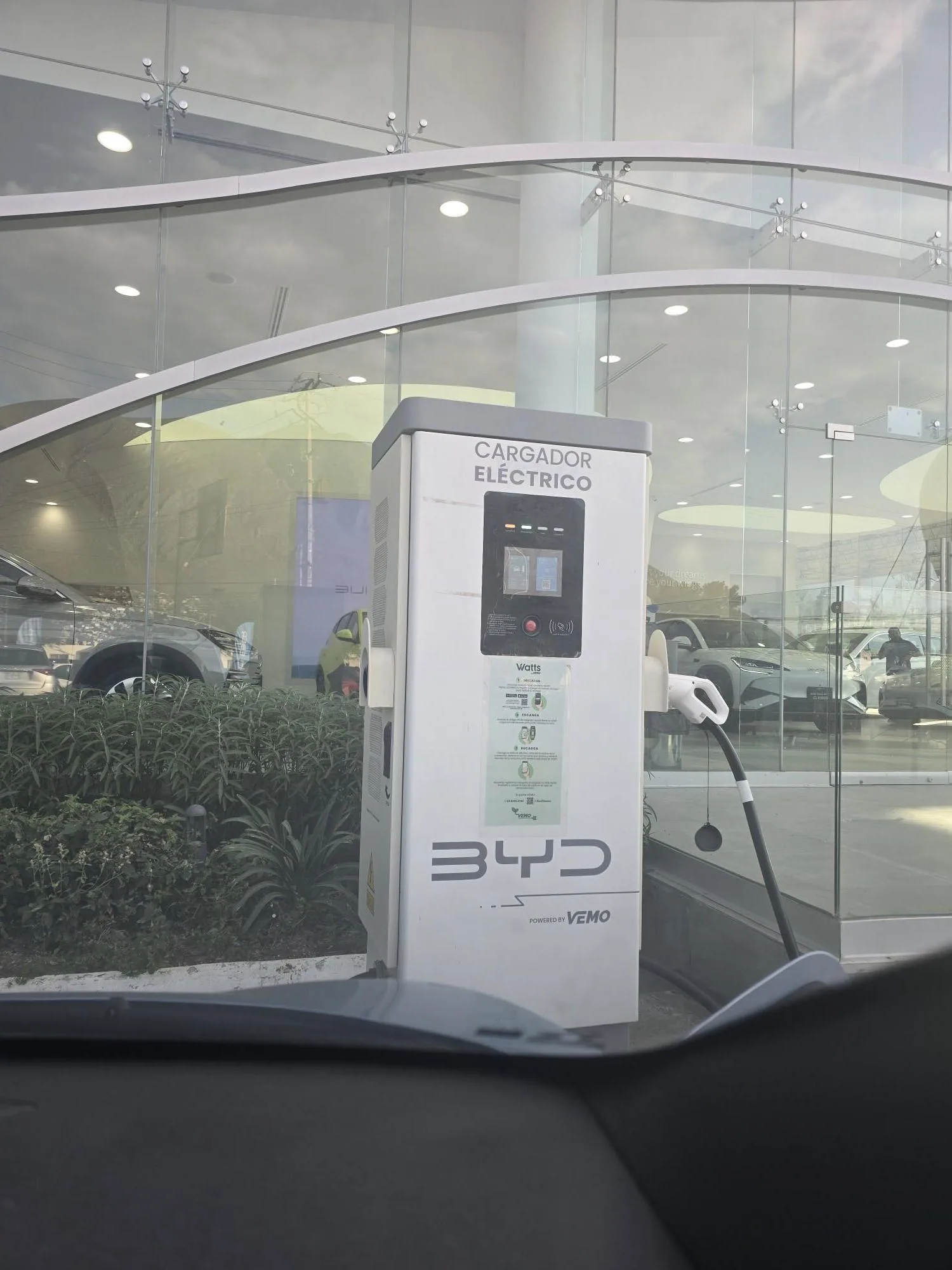 BYD ALLENDE NL