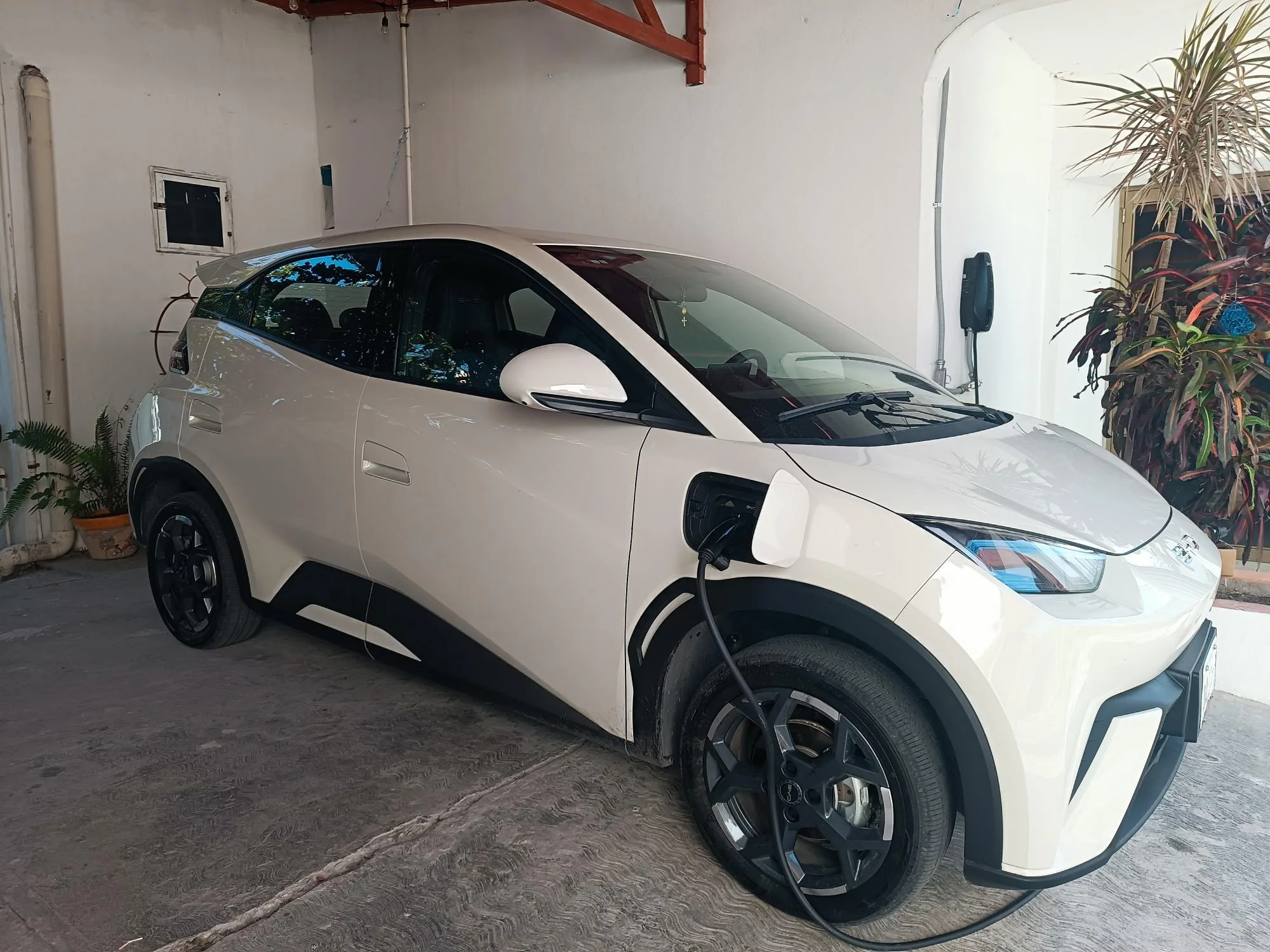 ELECTROCARGA CARMEN