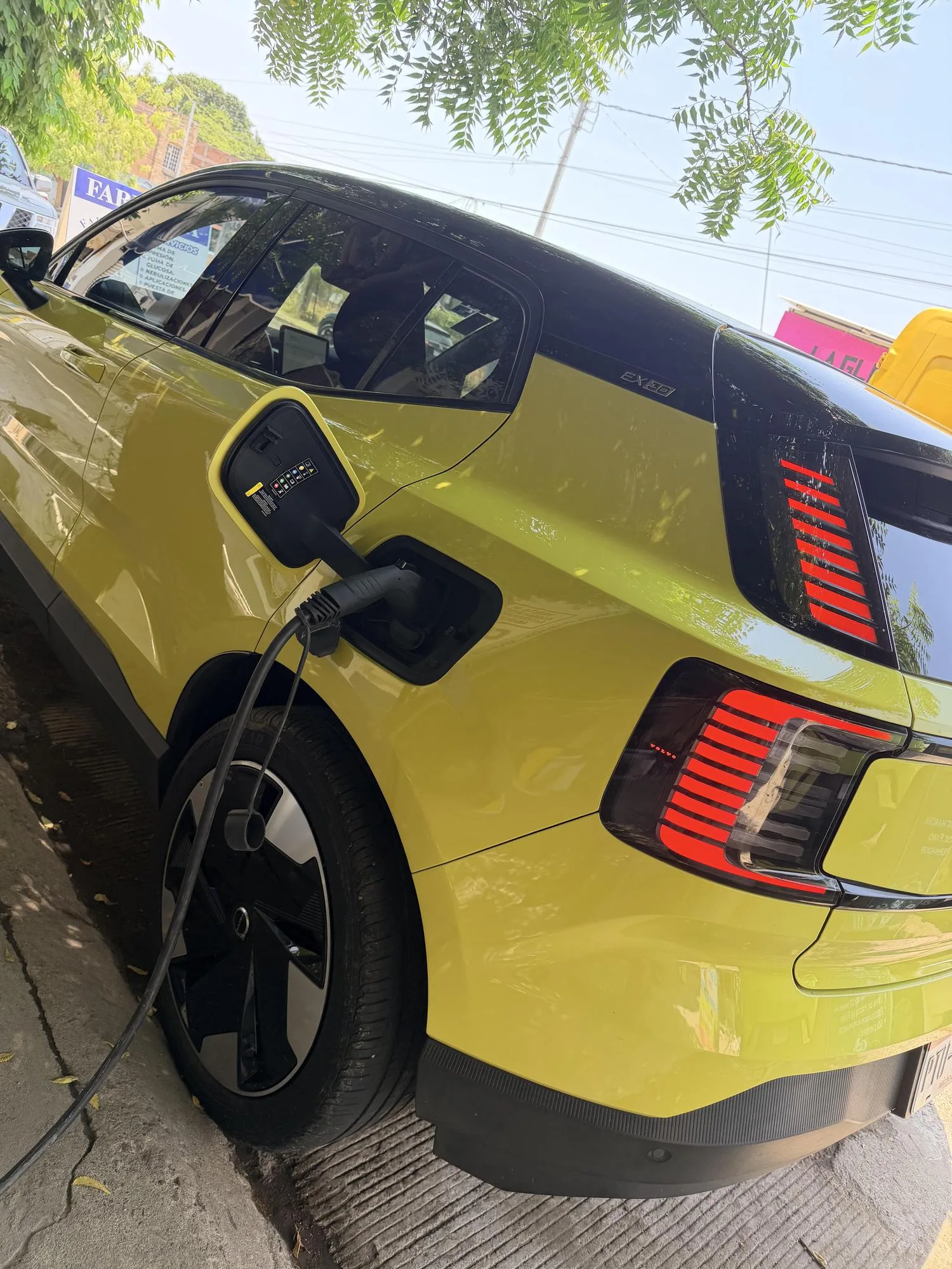 REFACCIONARIA AUTO ELÉCTRICA MP
