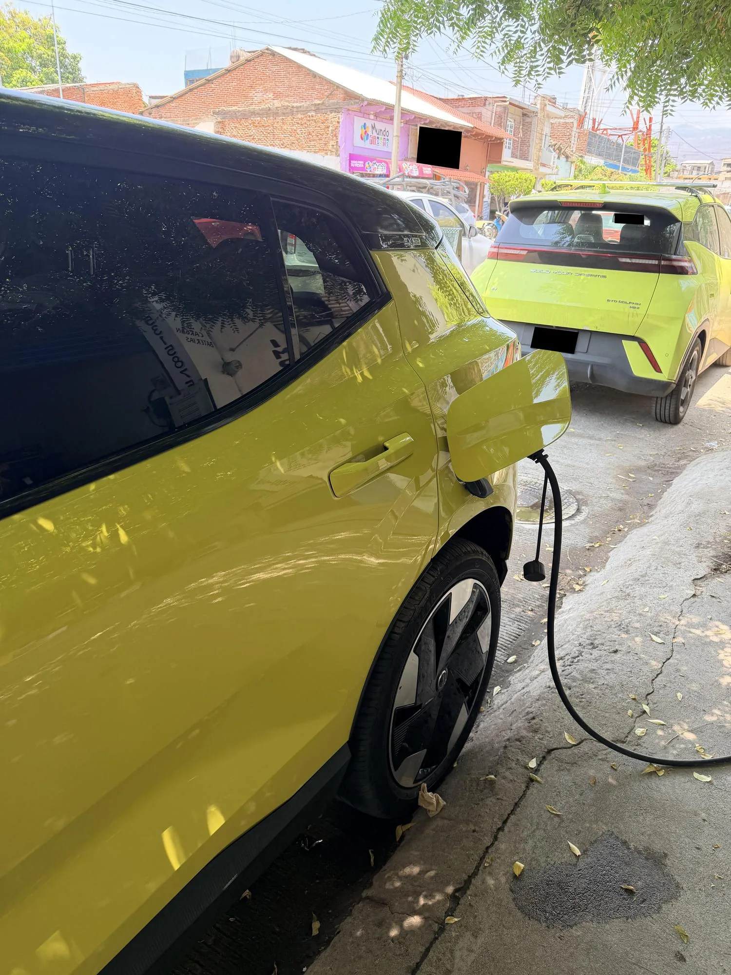 REFACCIONARIA AUTO ELÉCTRICA MP