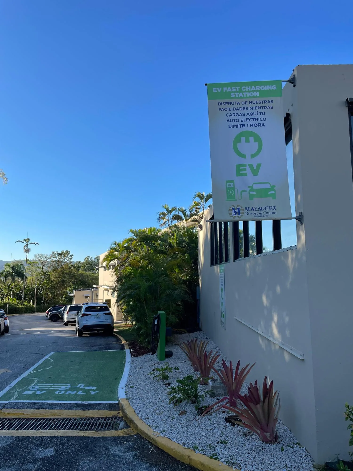 MAYAGÜEZ RESORT