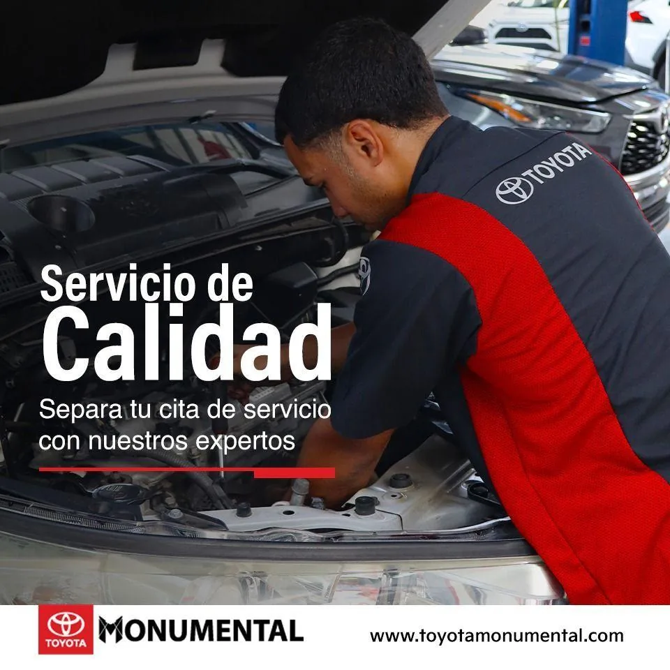 ONECHARGE PONCE TOYOTA MONUMENTAL PUBLIC L2 CHARGER 11.5KW