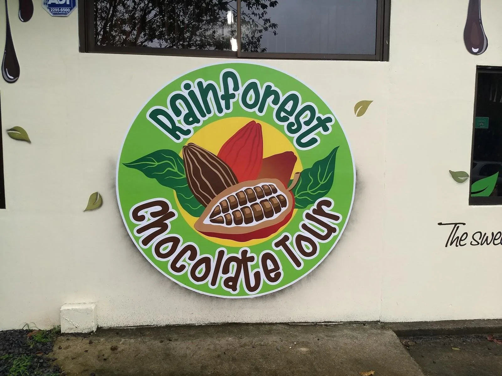 RAINFOREST CHOCOLATE TOUR